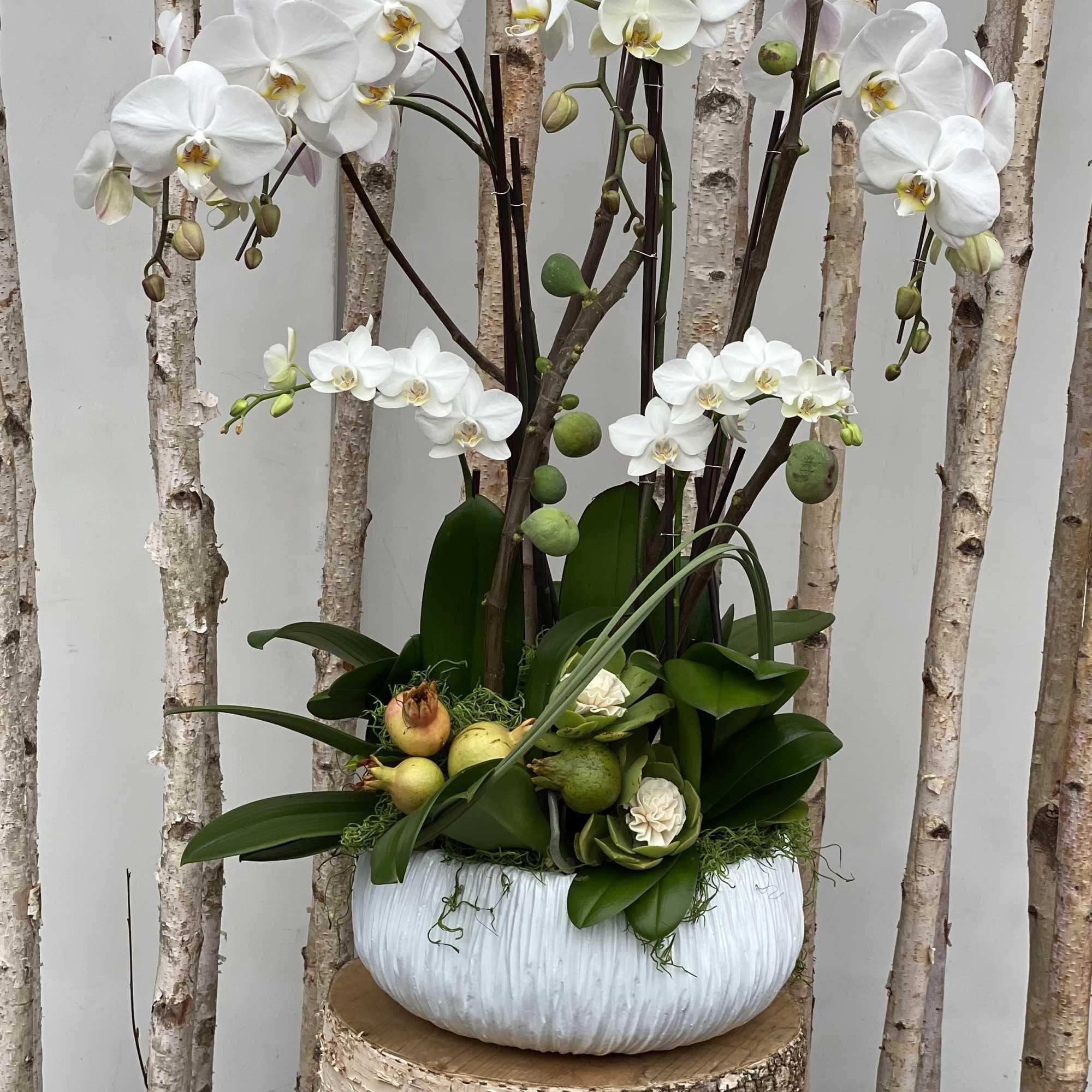 White Orchids beautifully arranged in a white ceramic up to 10 stems, photo 3 of 3
