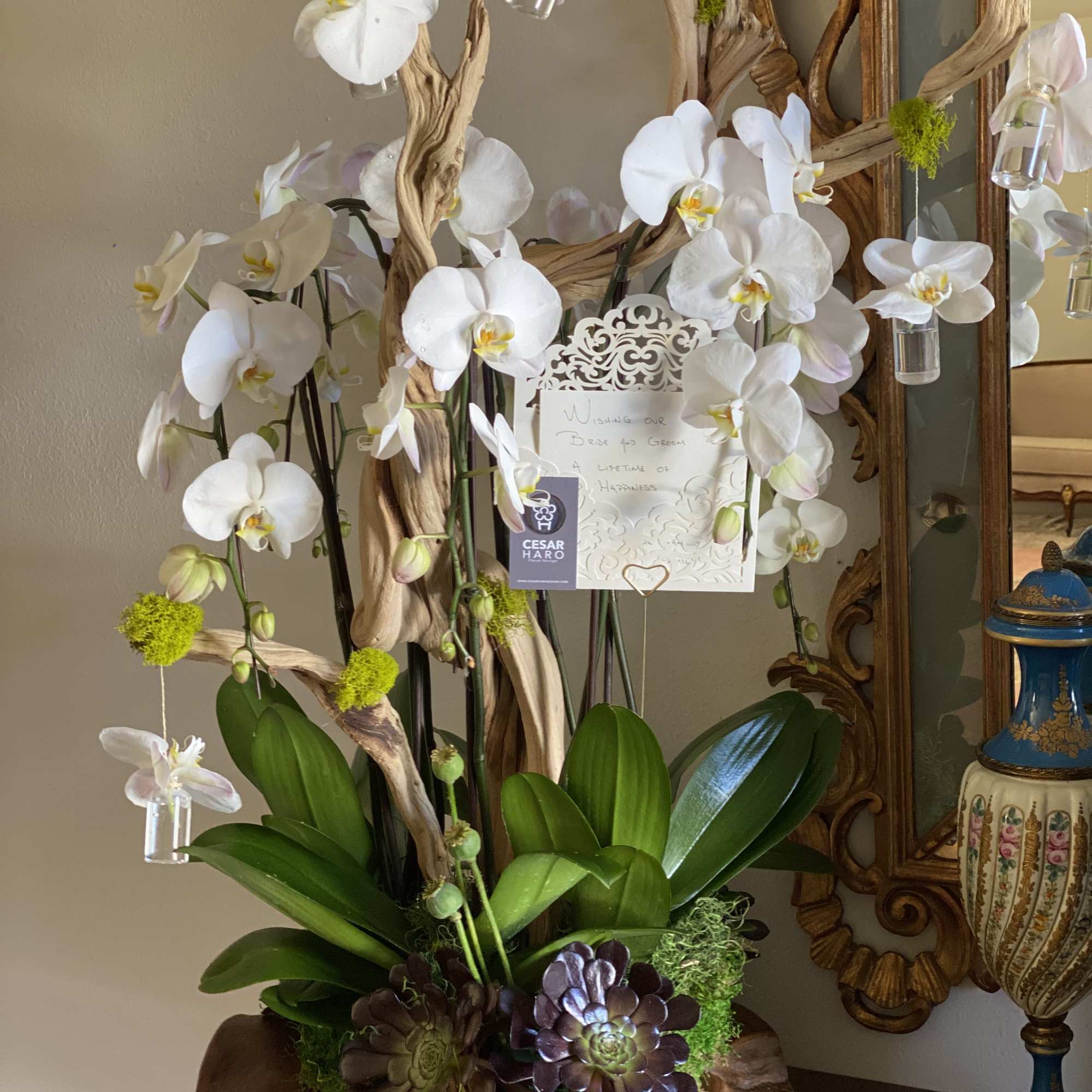 10 Stems Phaleanopsis Orchids beautifully design in a unique teak wood container.