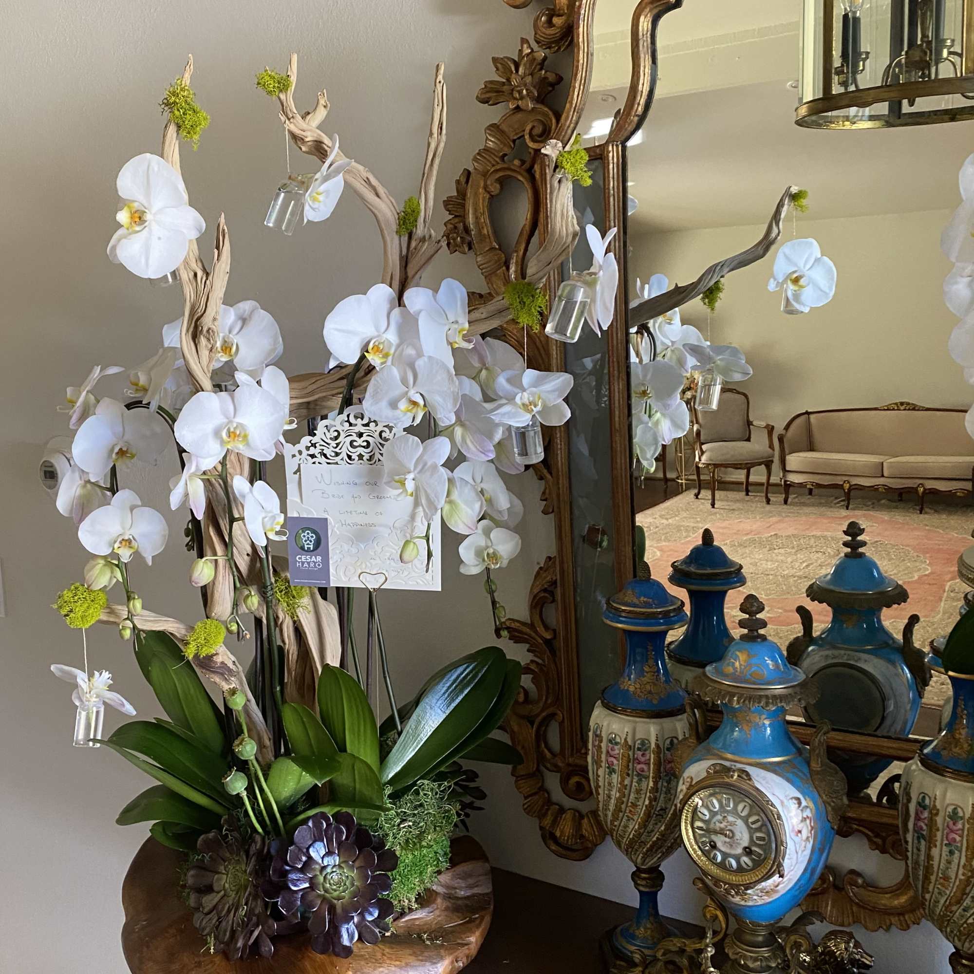 10 Stems Phaleanopsis Orchids beautifully design in a unique teak wood container., photo 2 of 2