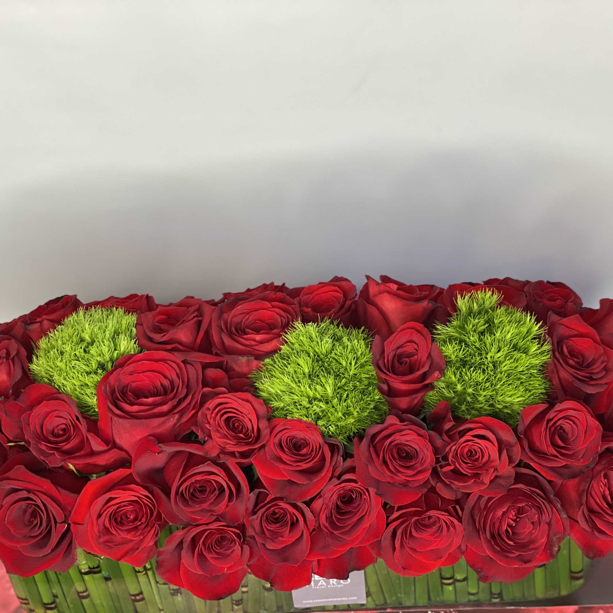 50 Ecuador big red roses  are gathered together, with green moss, photo 3 of 3