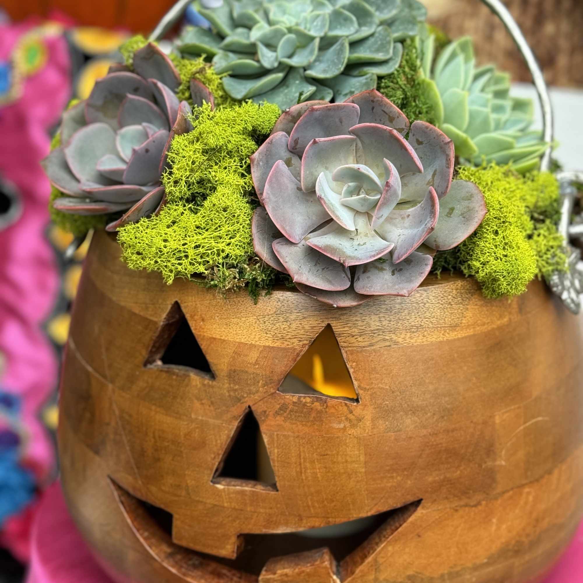 Succulents Arrangement beautifully designed coming out of a wood pumpkin , photo 2 of 2