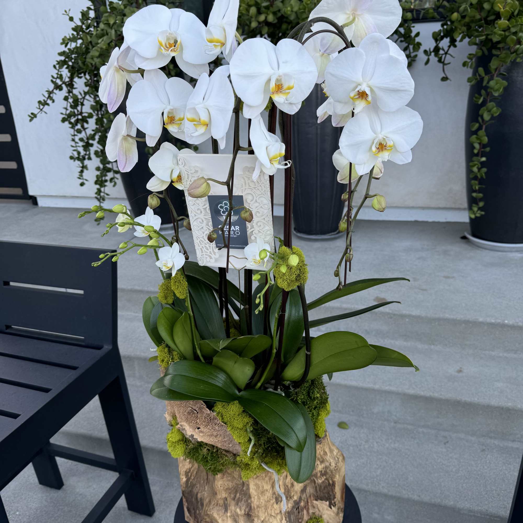 Unique Teak Wood Piece beautifully designed with phaleanopsis orchids and other accessories, photo 2 of 2
