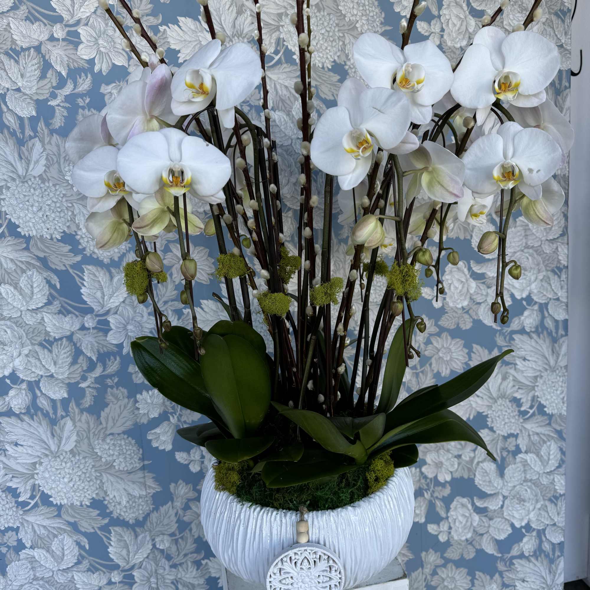 Fresh white phaleanopsis orchids, exotically designed in a white ceramic vase. 