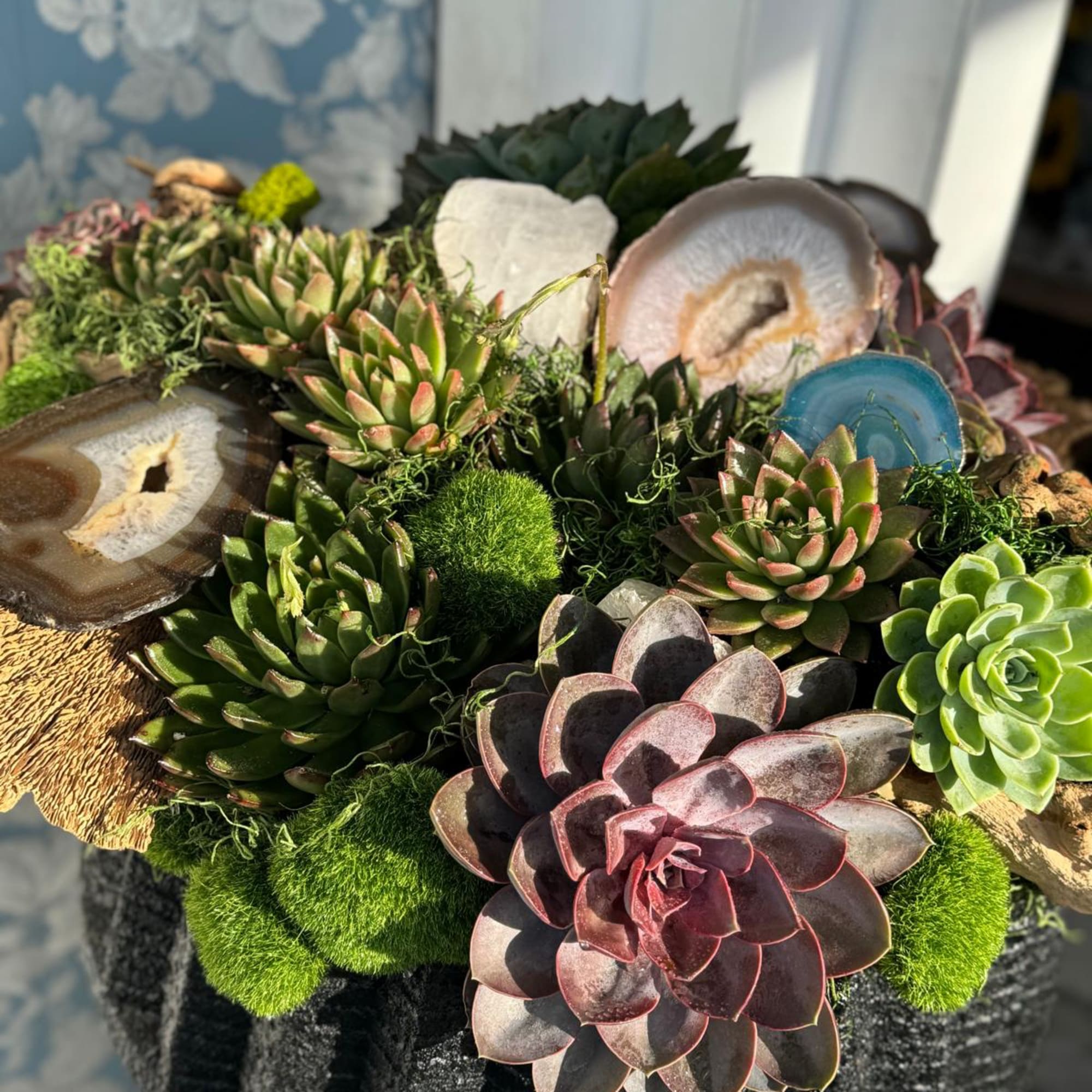 This succulent floral design is a striking, energy-enhancing arrangement featuring a selection, photo 2 of 2