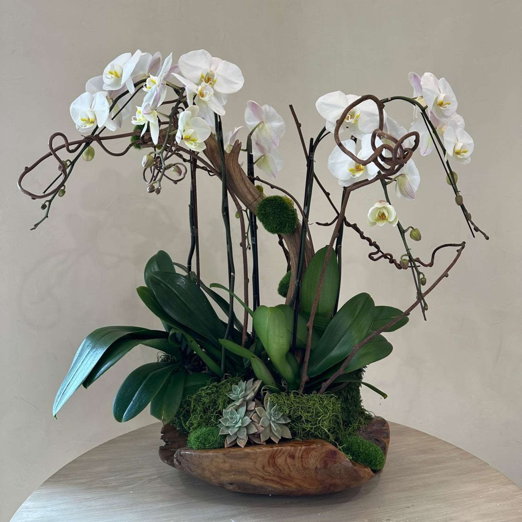 A captivating arrangement with pristine white orchids set atop a rustic wood
