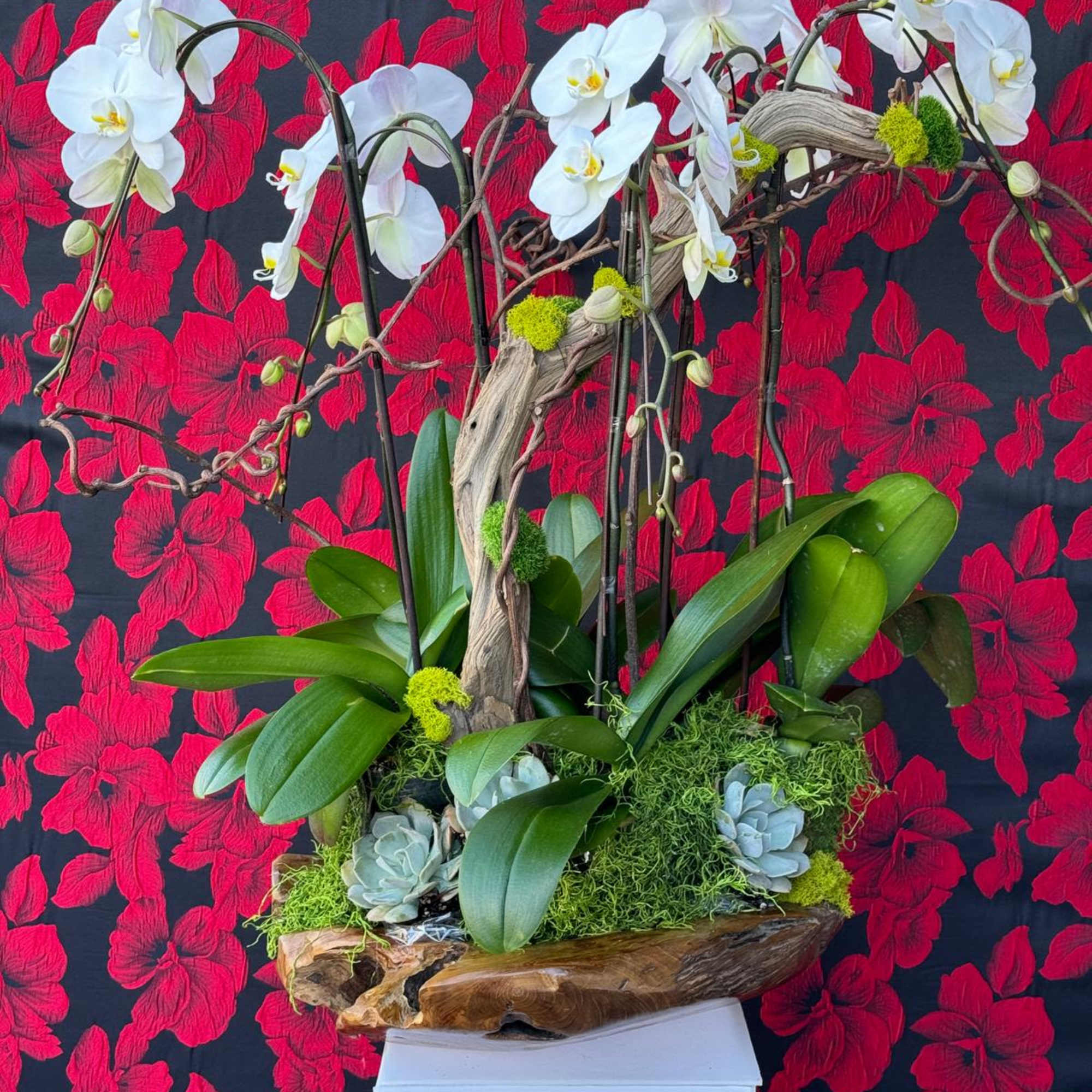 A captivating arrangement with pristine white orchids set atop a rustic wood, photo 2 of 2