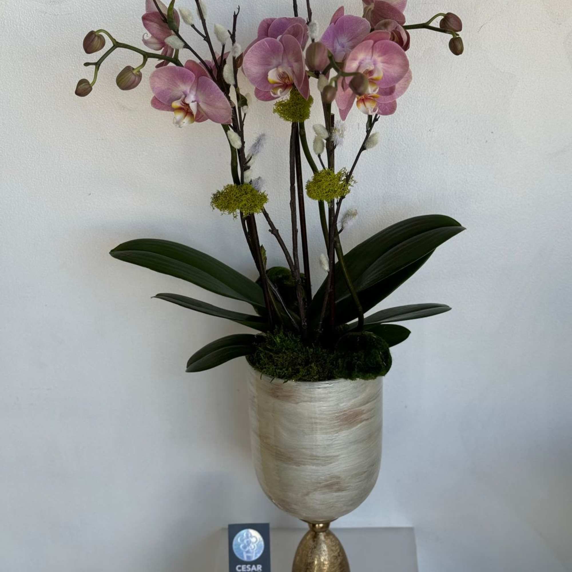 A luxurious arrangement showcasing pristine white orchids atop an opal-like pillar vase