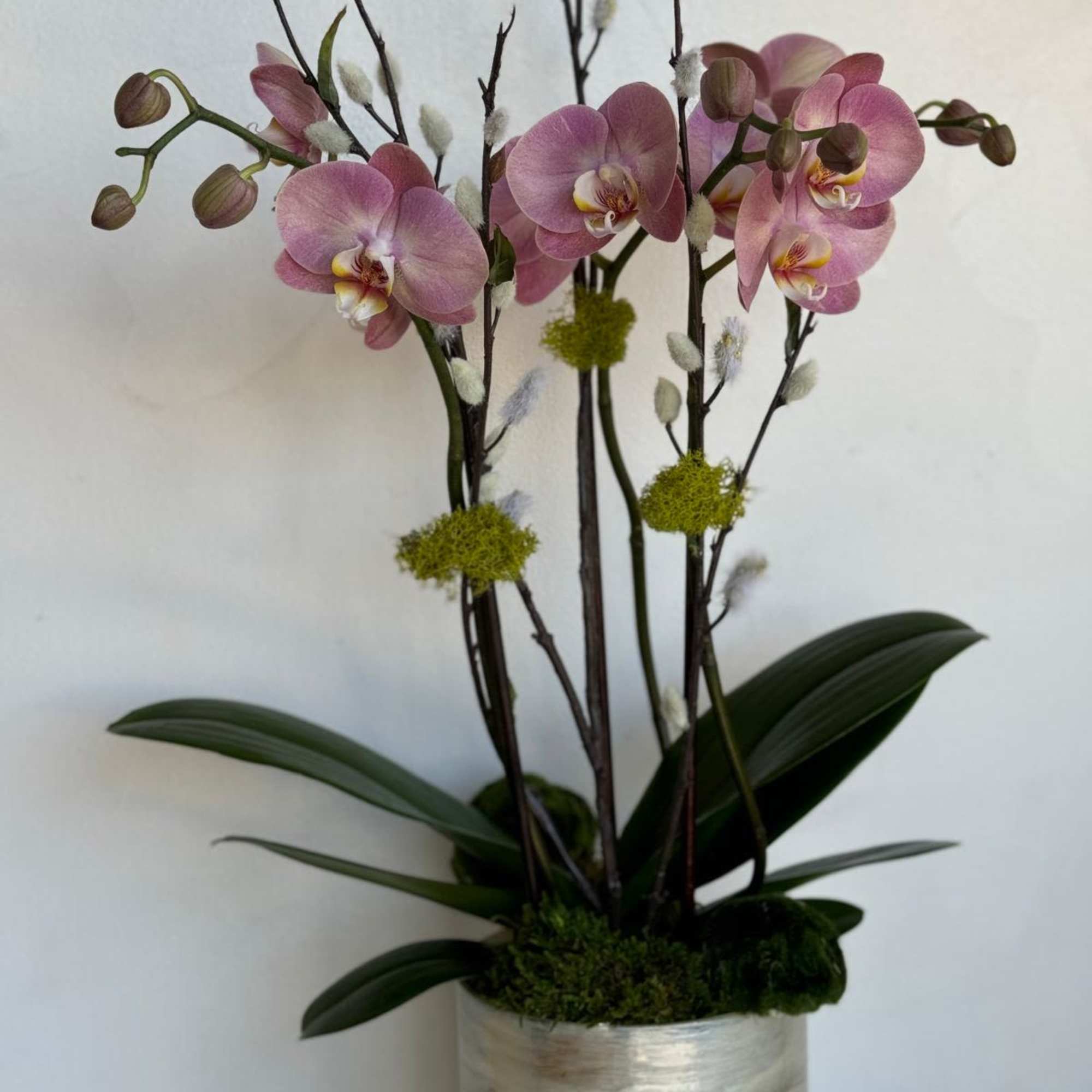 A luxurious arrangement showcasing pristine white orchids atop an opal-like pillar vase, photo 2 of 2