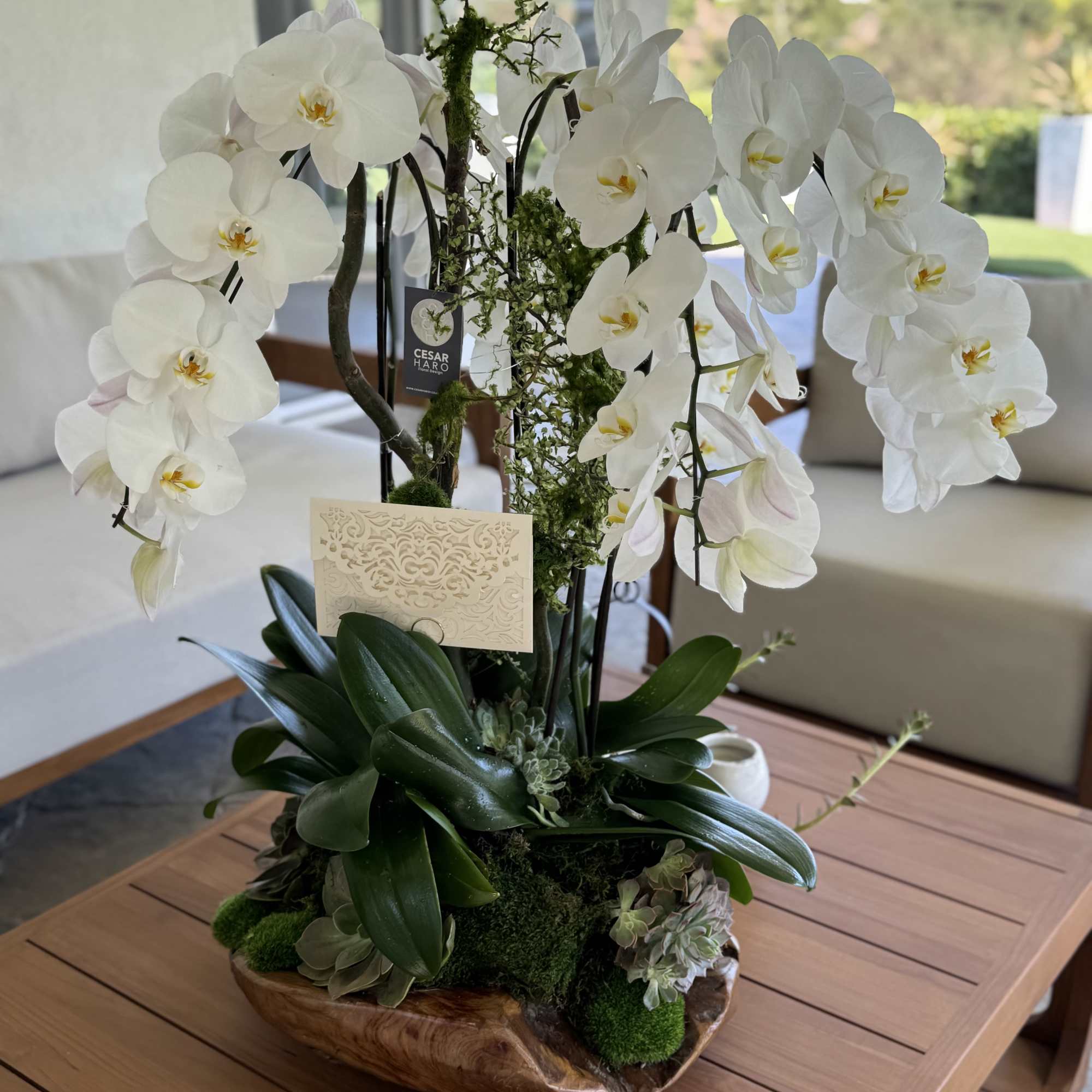 Gorgeous White Orchids with Cascading shape in a nice wood piece container, photo 2 of 2