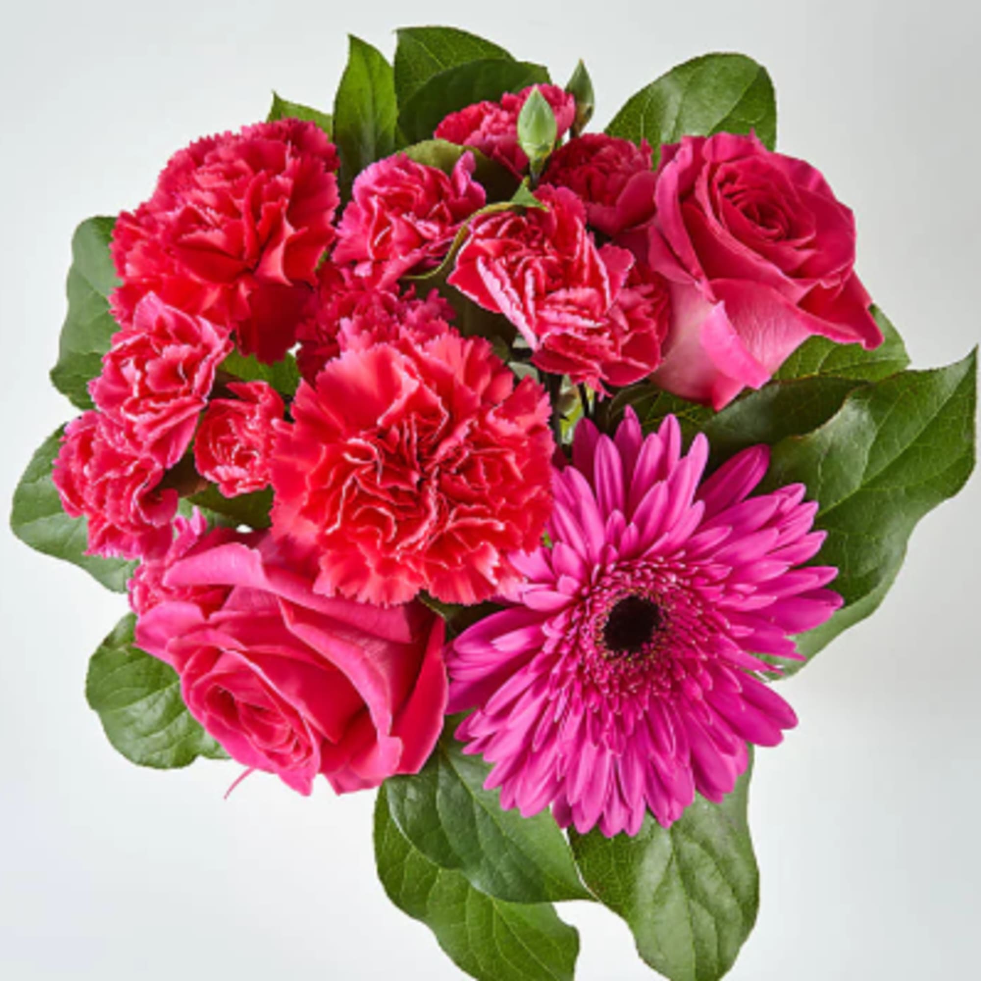 Pink roses, carnations, and a gerbera daisy arranged with green leaves