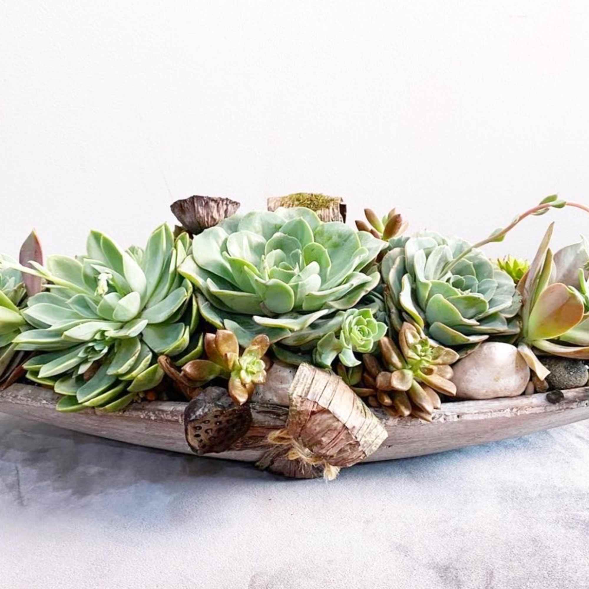 Succulent arrangement in a shallow wooden boat planter