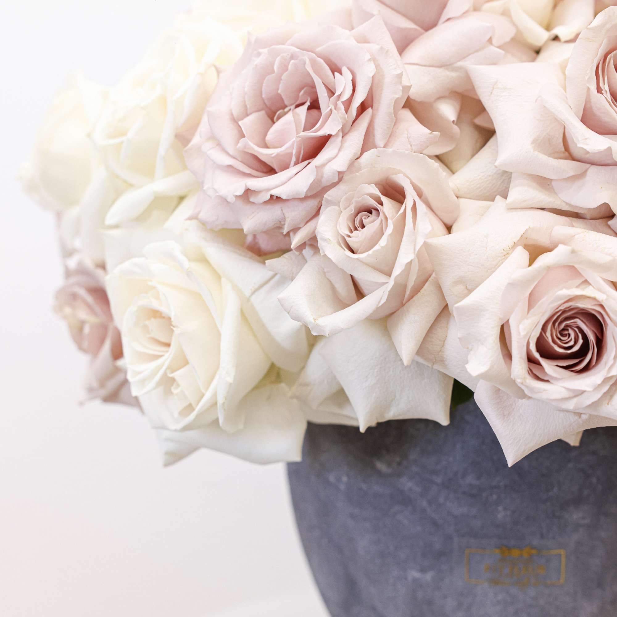 Pale pink and white roses arranged in a gray vase