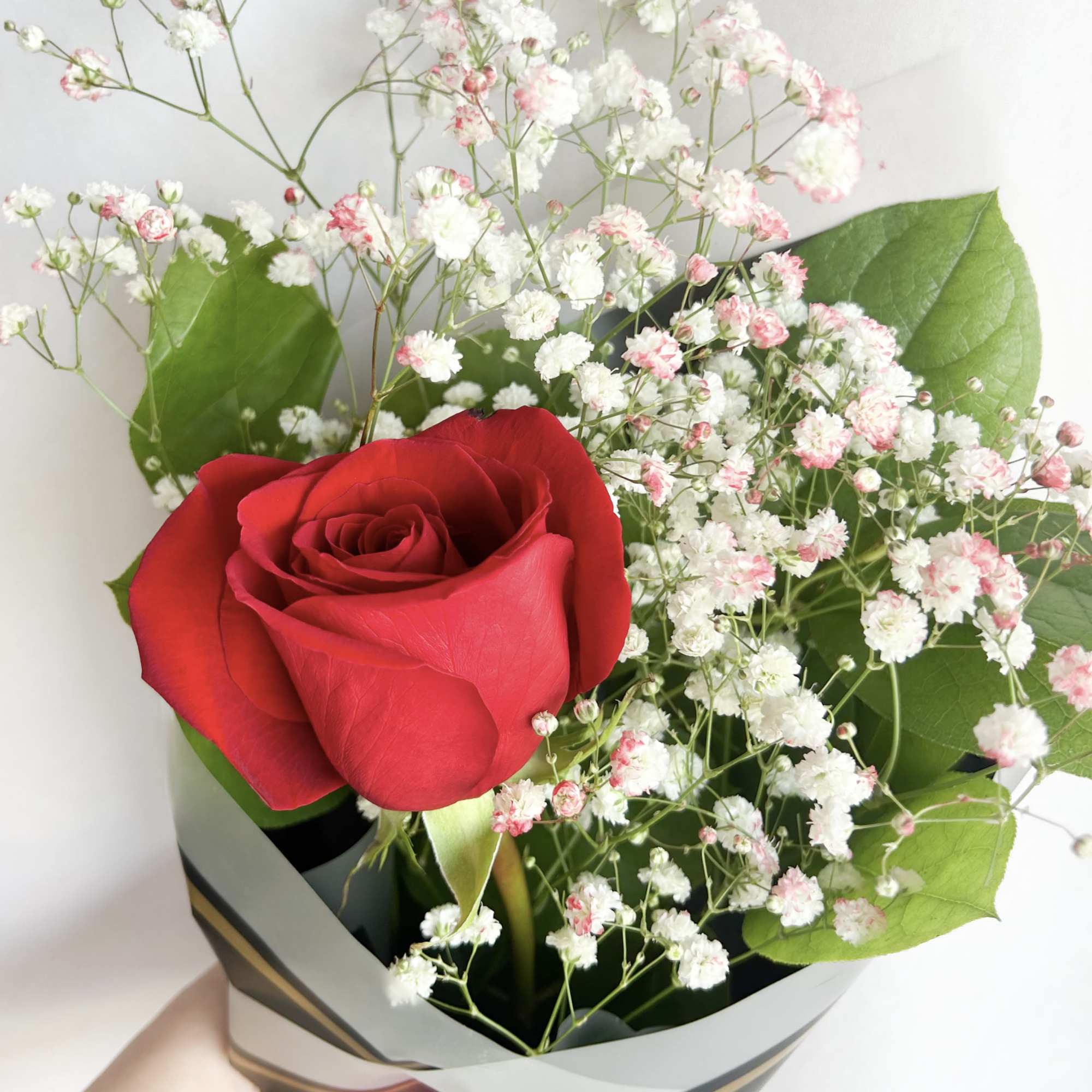 Red rose bouquet with white baby's breath in black wrap