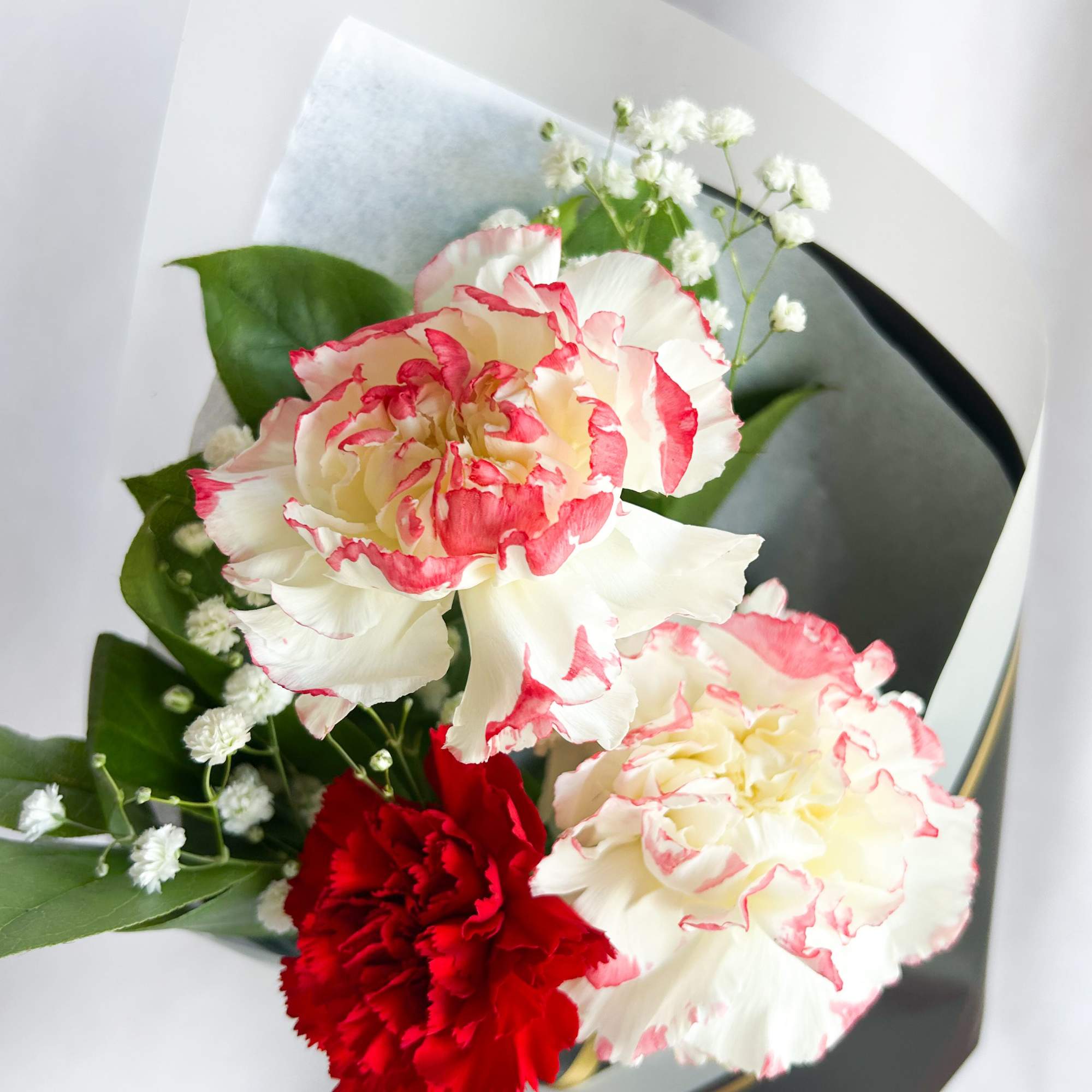 Bouquet of red and white carnations with baby's breath