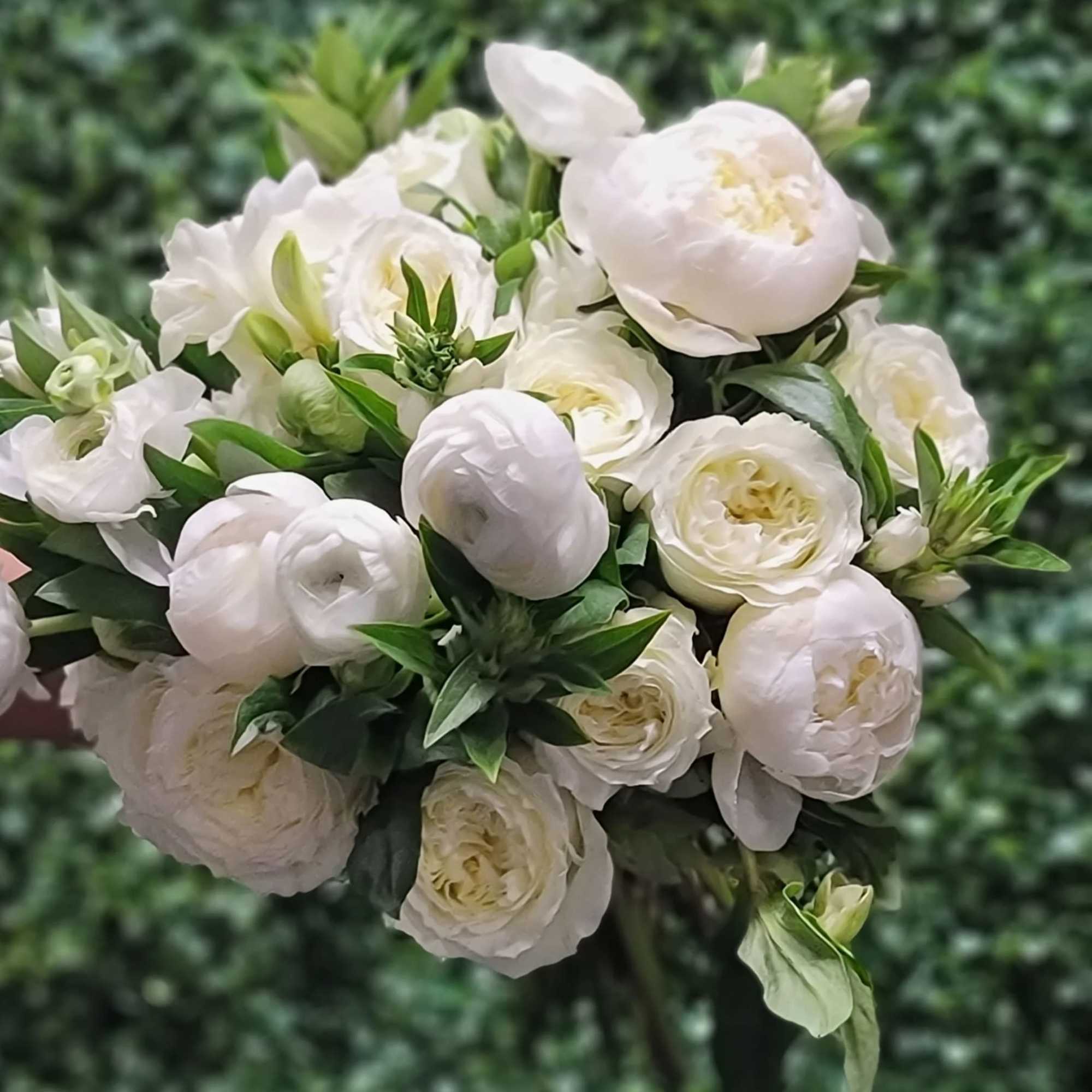 White ranunculus bouquet with green buds against a leafy background