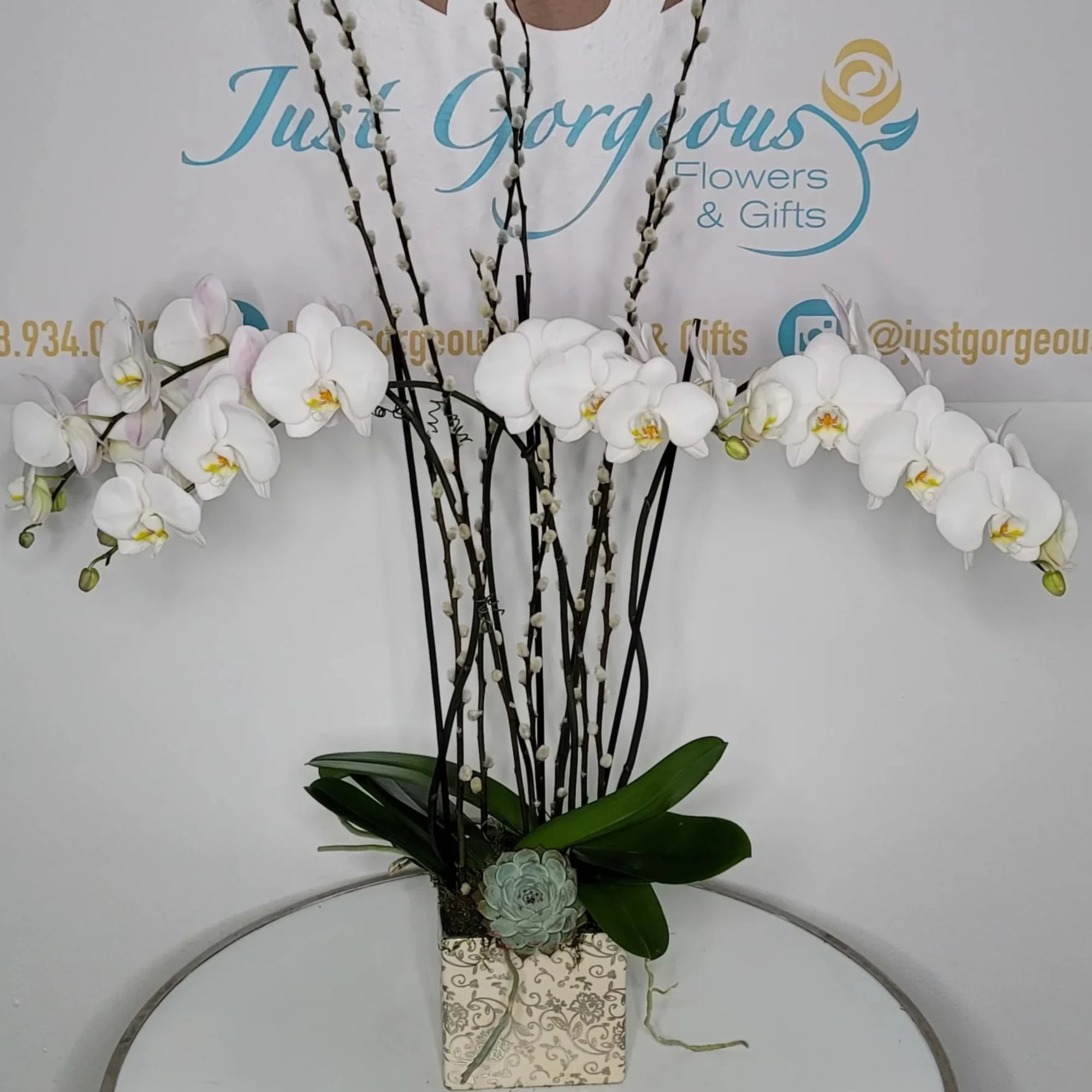 White orchid arrangement in a patterned square container with tall branches