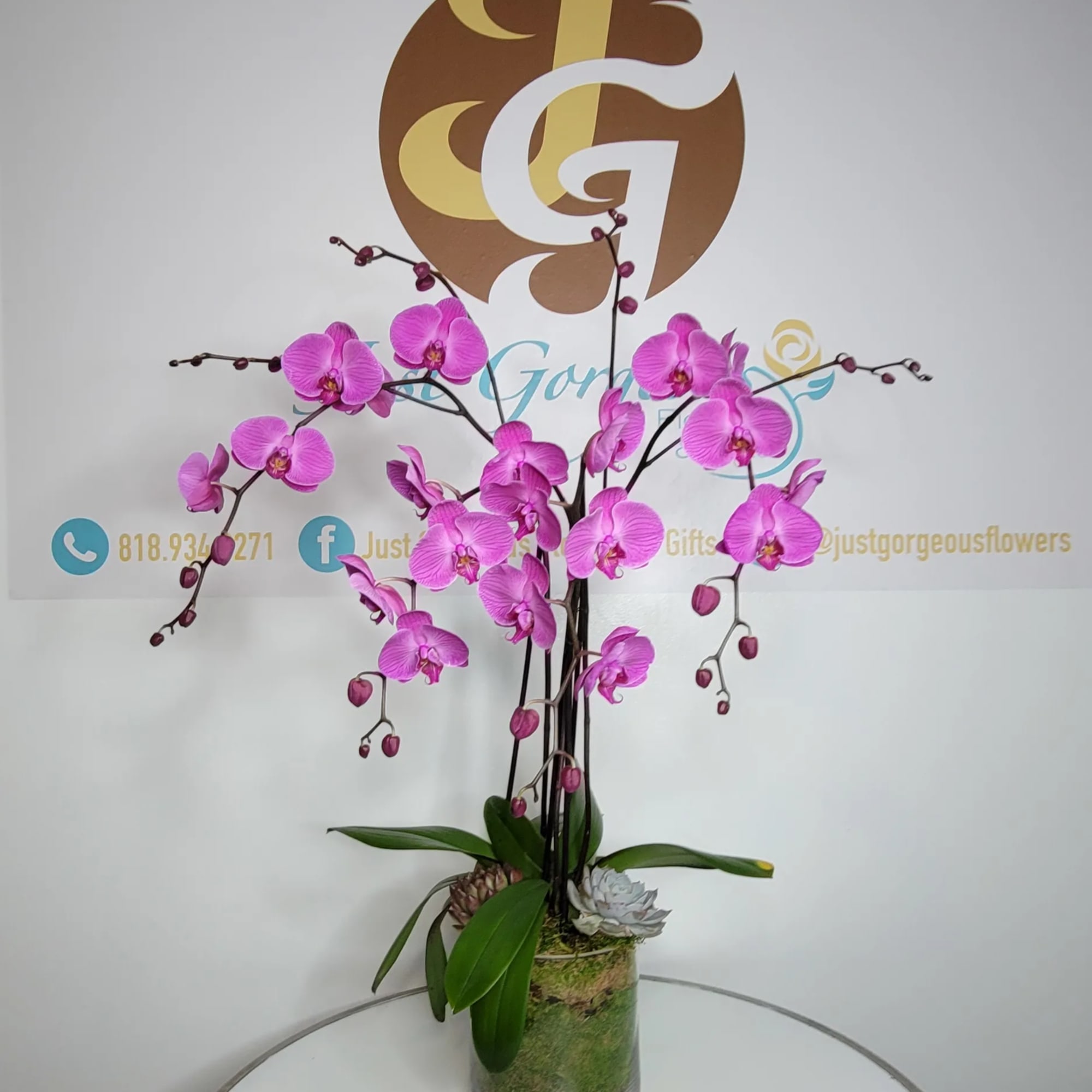 Pink orchids arranged in a glass vase with green leaves