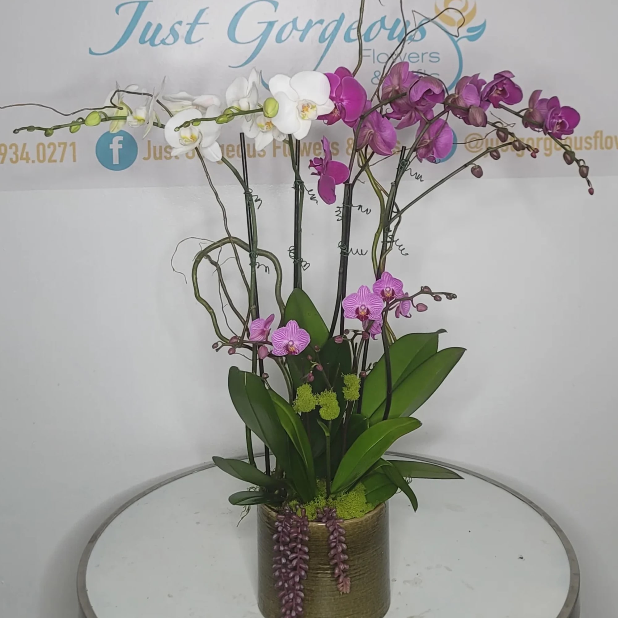 Potted orchid arrangement with white and purple blooms in a gold container