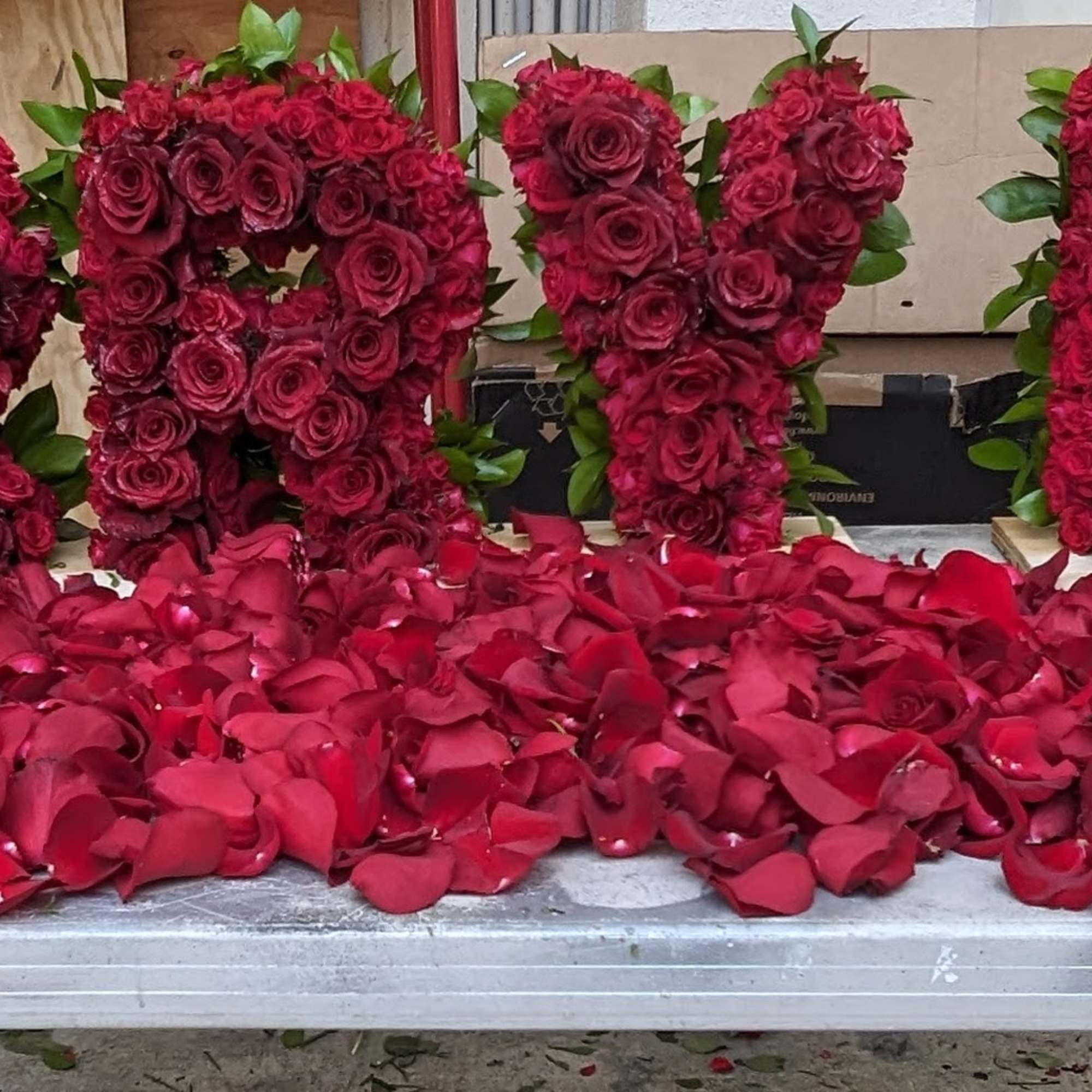Large red rose letters with a bed of red petals in front