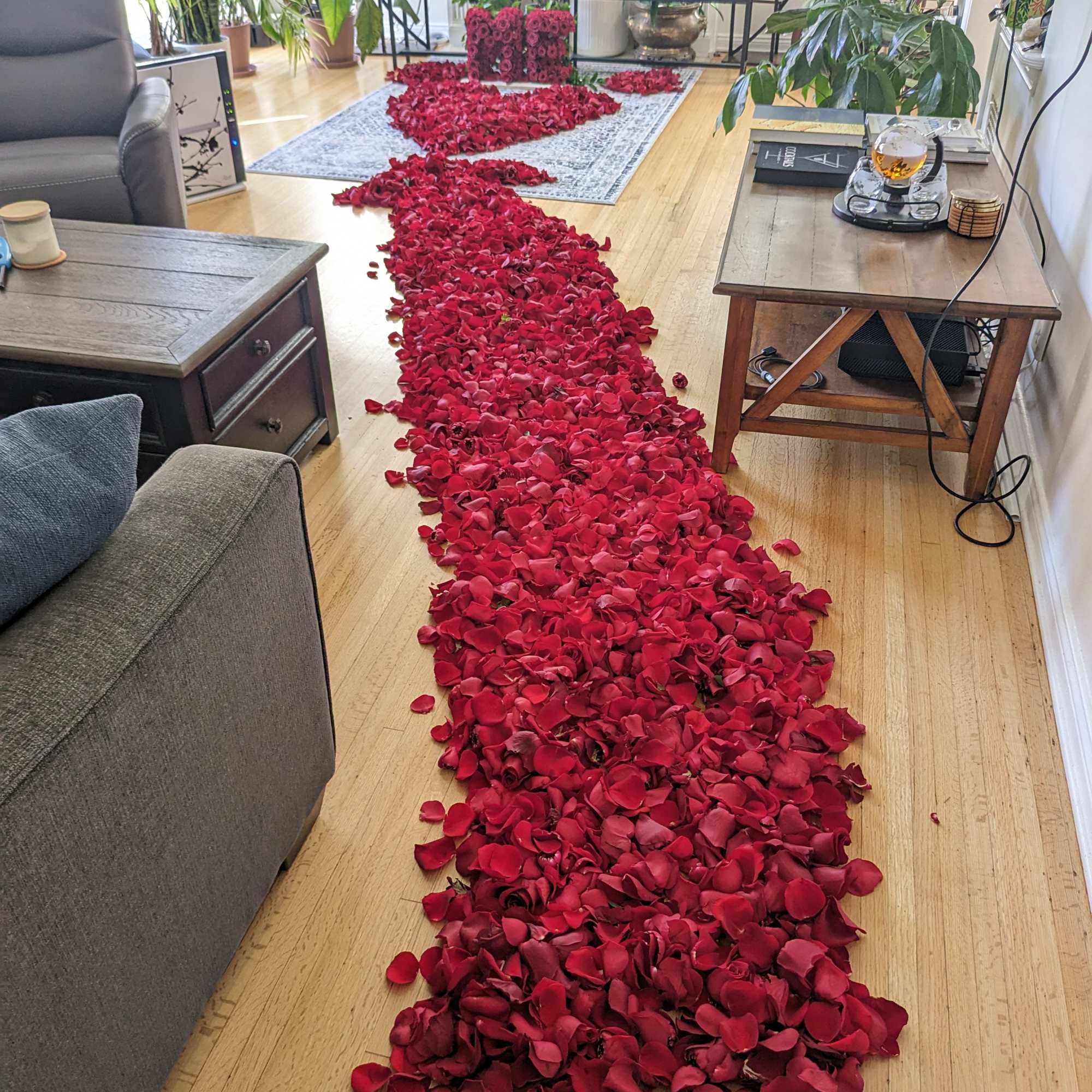 Red rose petals form a path through a living room
