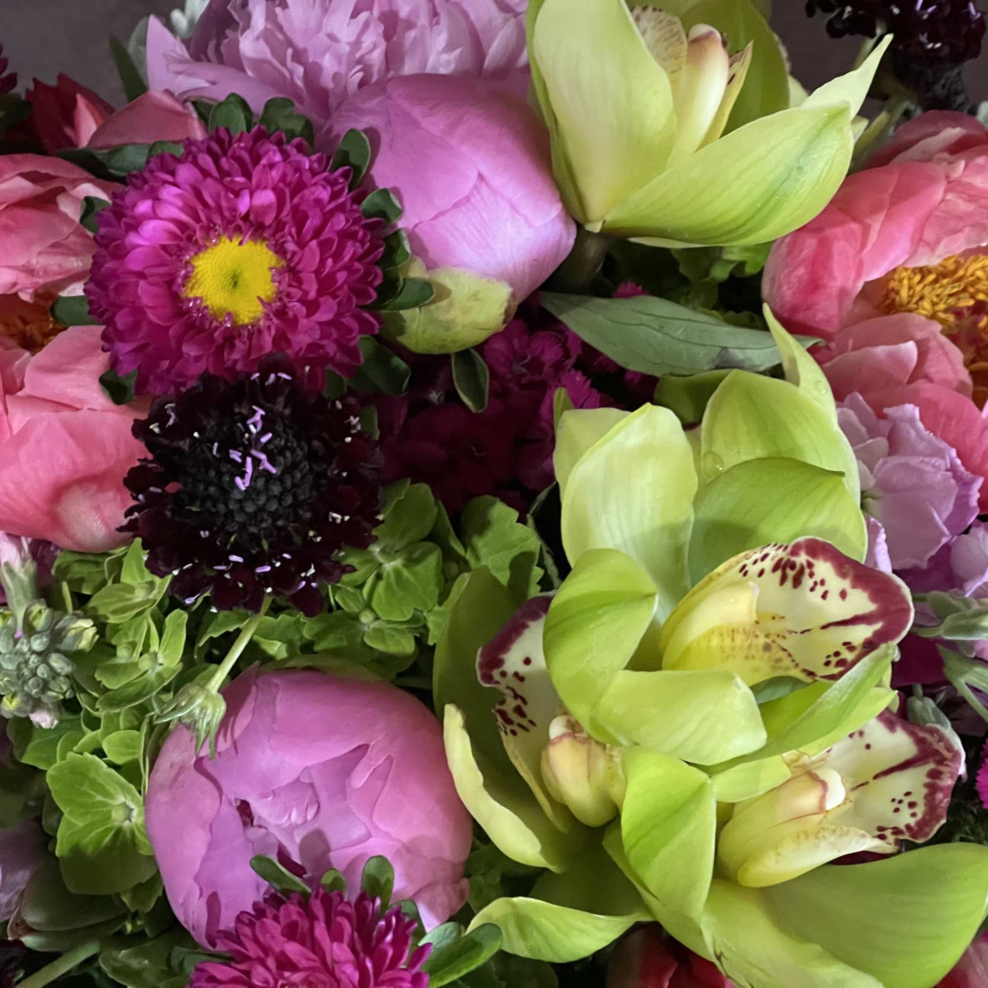 Pink peonies and green orchids with magenta daisies in a mixed bouquet