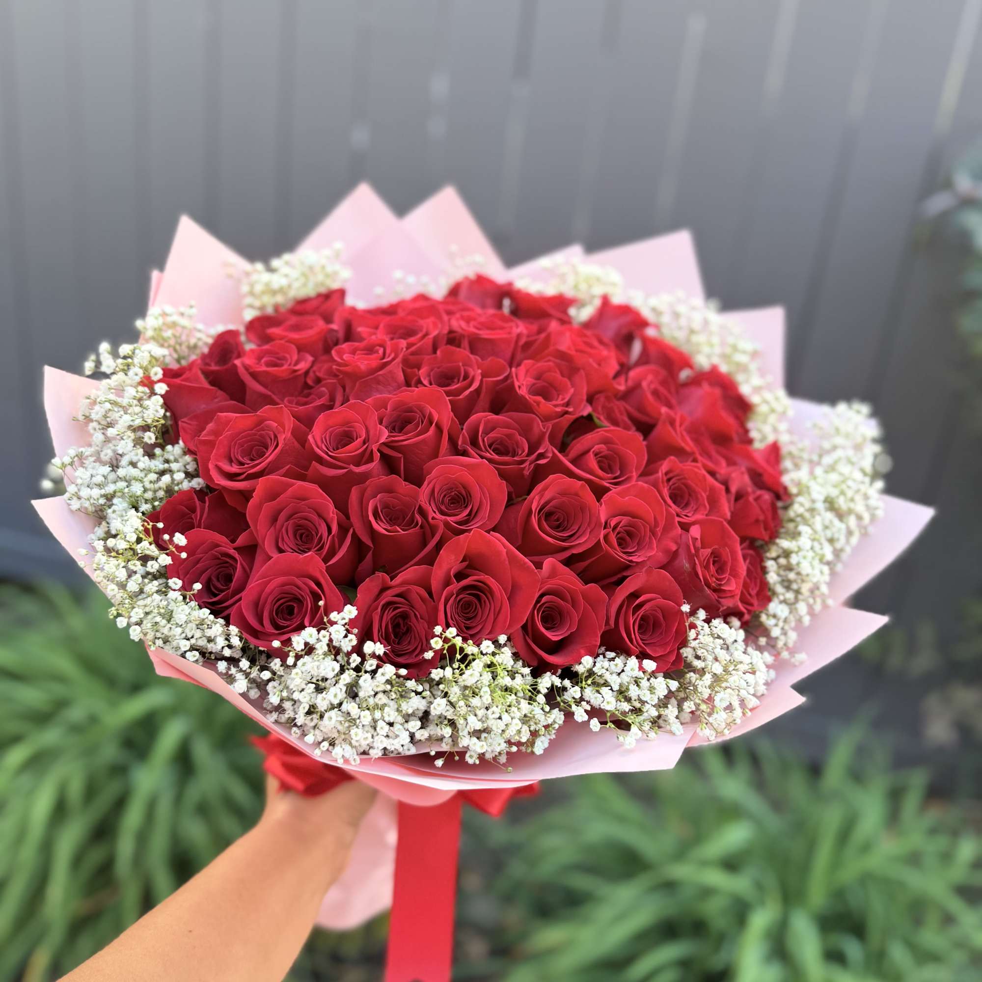 Bouquet of red roses with white baby's breath in pink wrapping, photo 2 of 2