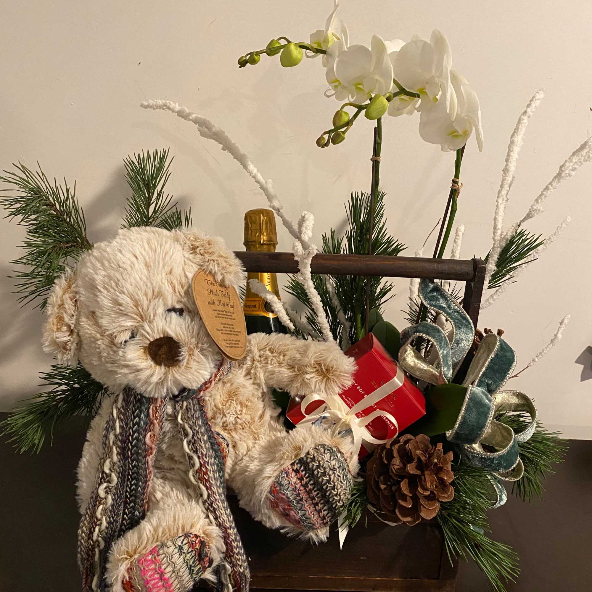 Teddy bear gift arrangement with white orchids and holiday accents