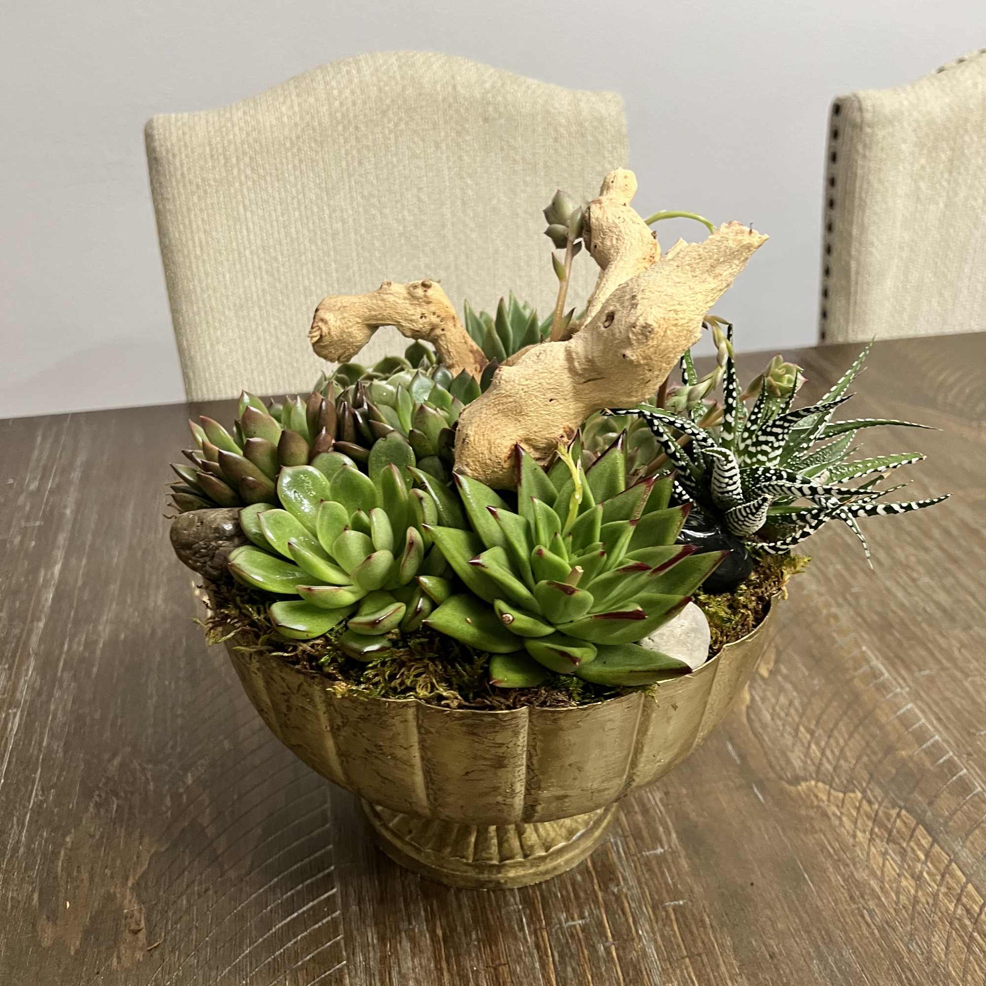 Succulent arrangement in a gold bowl with decorative driftwood