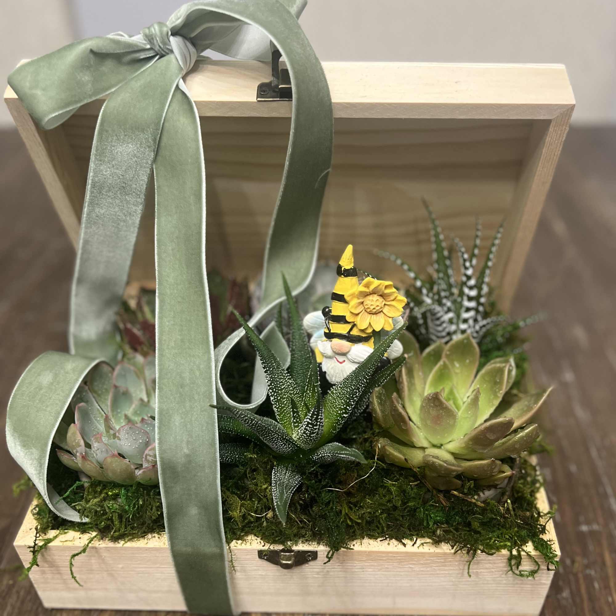 Succulent arrangement in a wooden box with a green ribbon bow