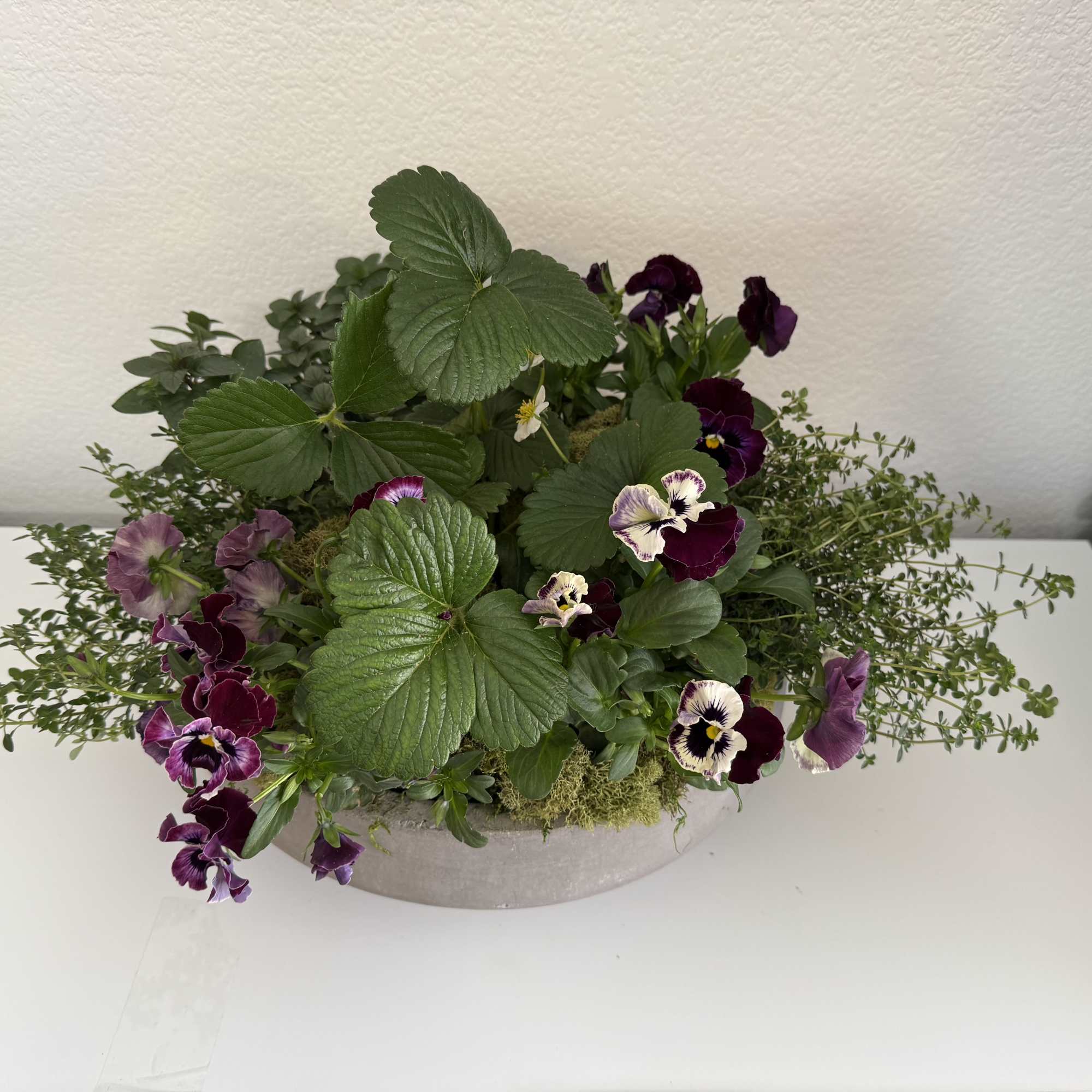 Low floral arrangement with purple pansies in a shallow gray container