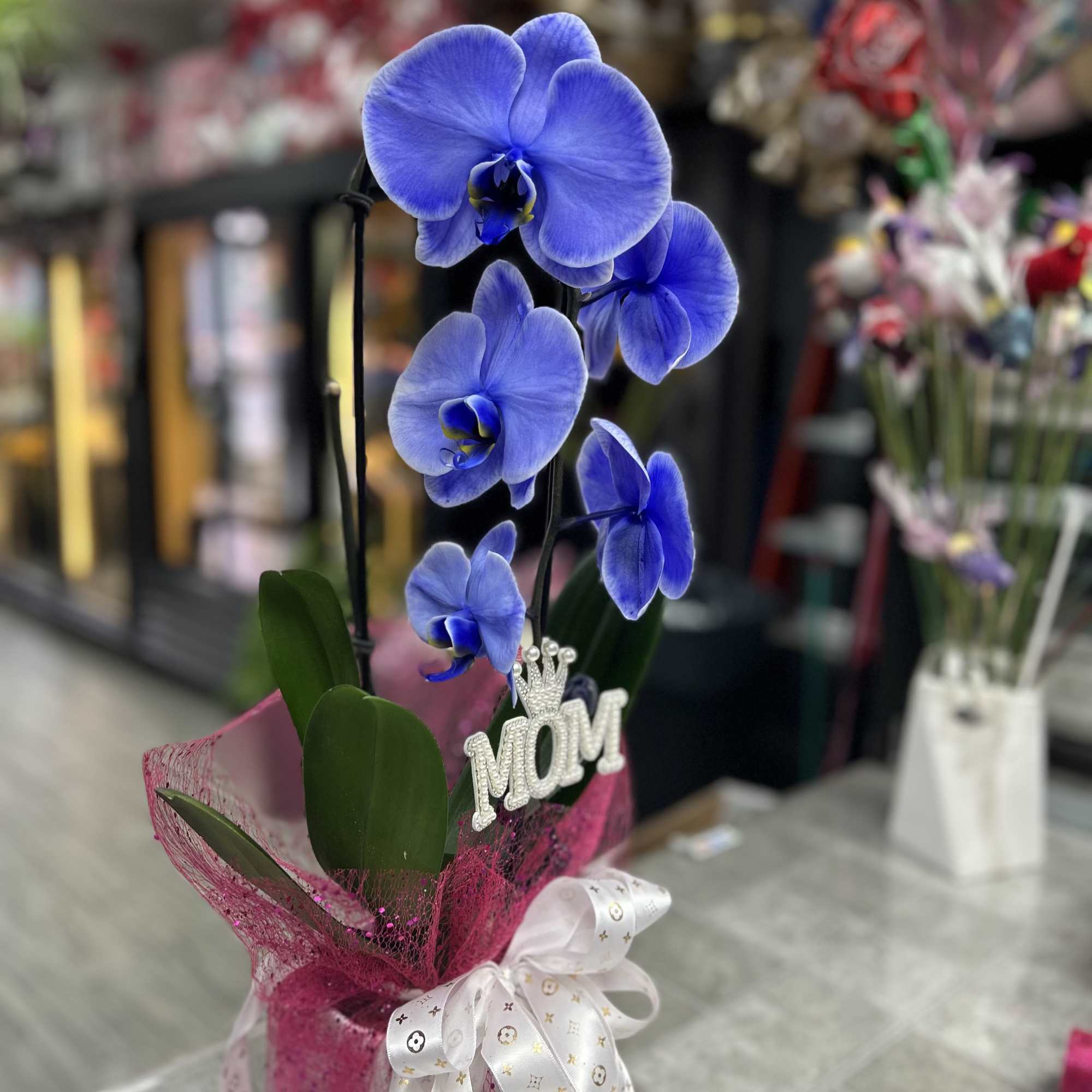 Vivid blue Phalaenopsis orchids burst from a compact pink-wrapped base, making this, photo 2 of 2