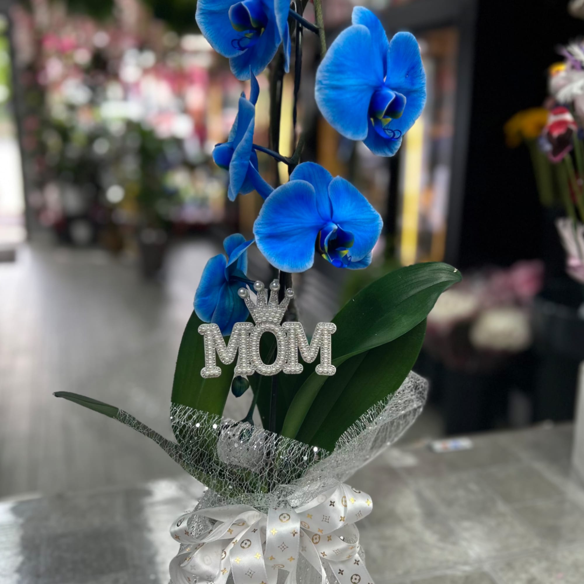 A single-stem or multi-stem Phalaenopsis orchid in vivid blue makes a striking, photo 2 of 2