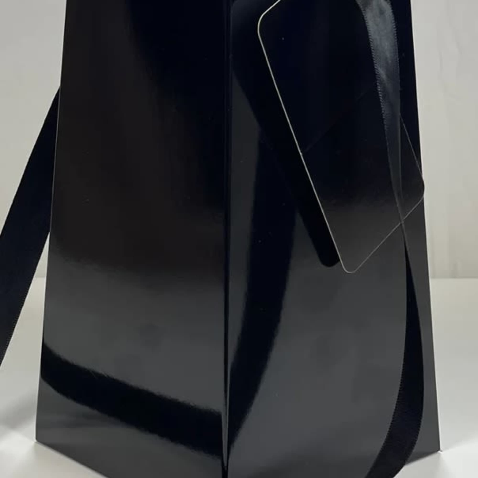 Tall glossy black gift bag with long ribbon handle and blank hanging tag