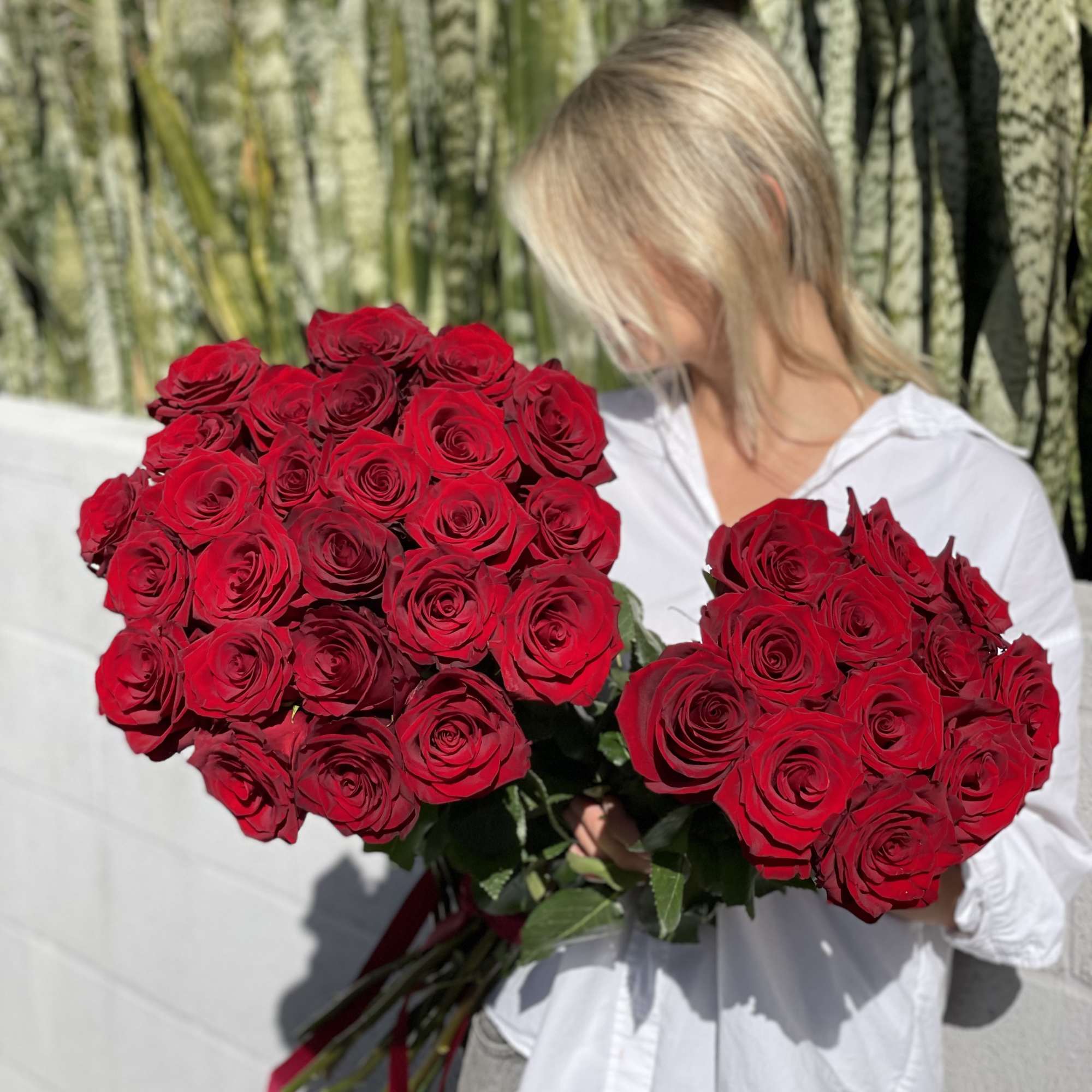 Two large bouquets of red roses held by a person