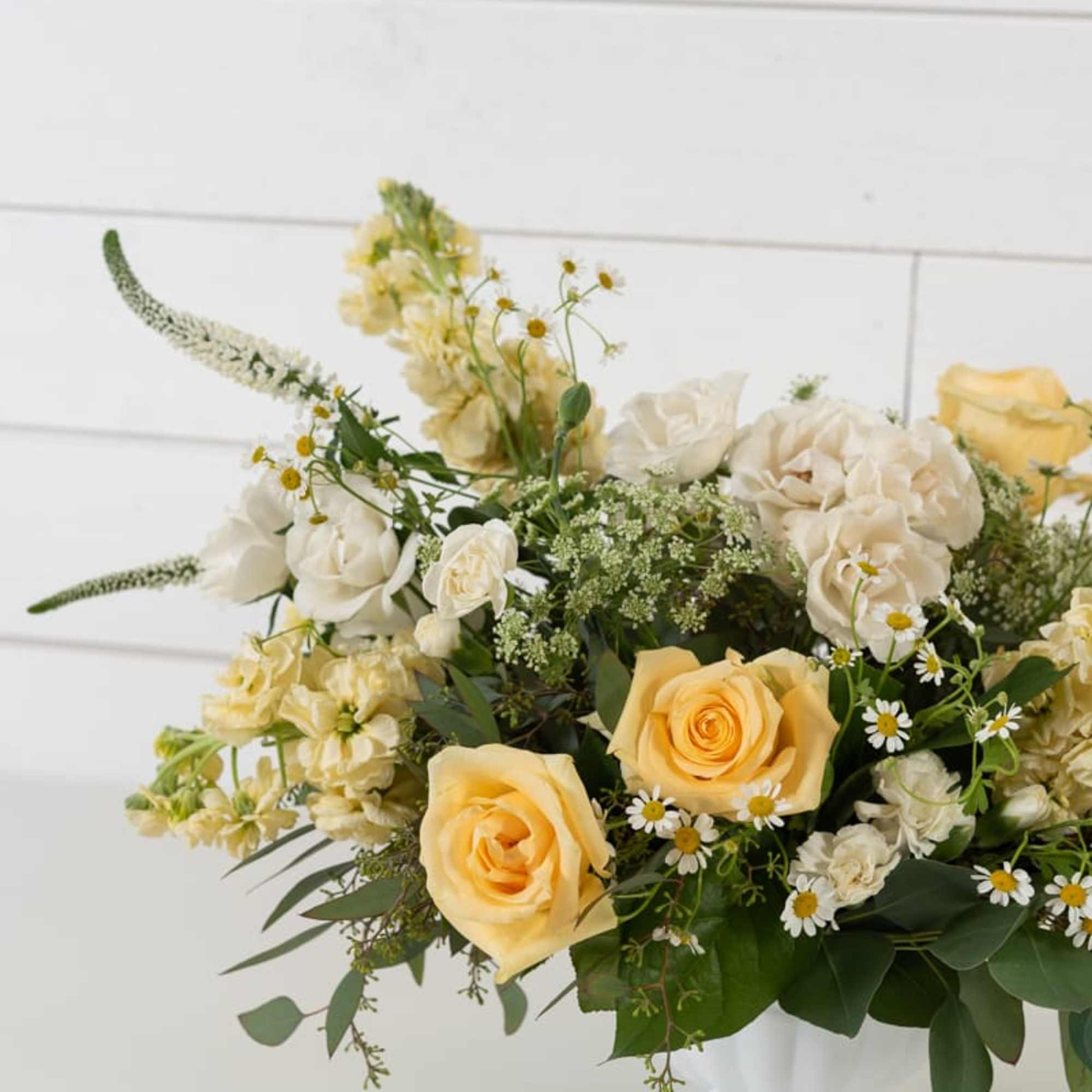Cream and yellow roses arranged in a white vase
