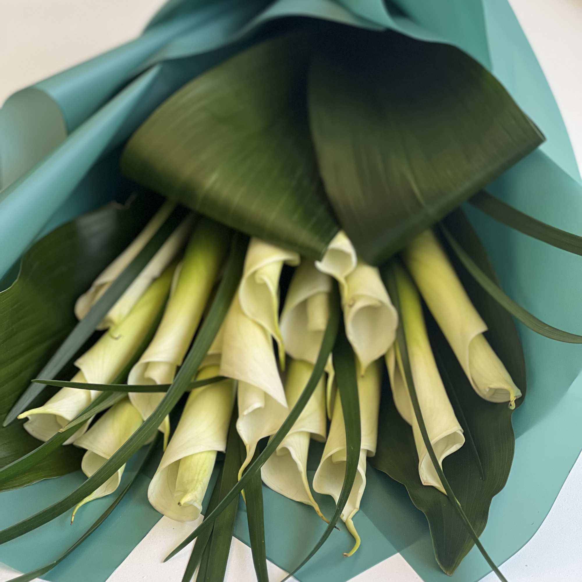 Bouquet of white calla lilies wrapped in teal paper, photo 2 of 2