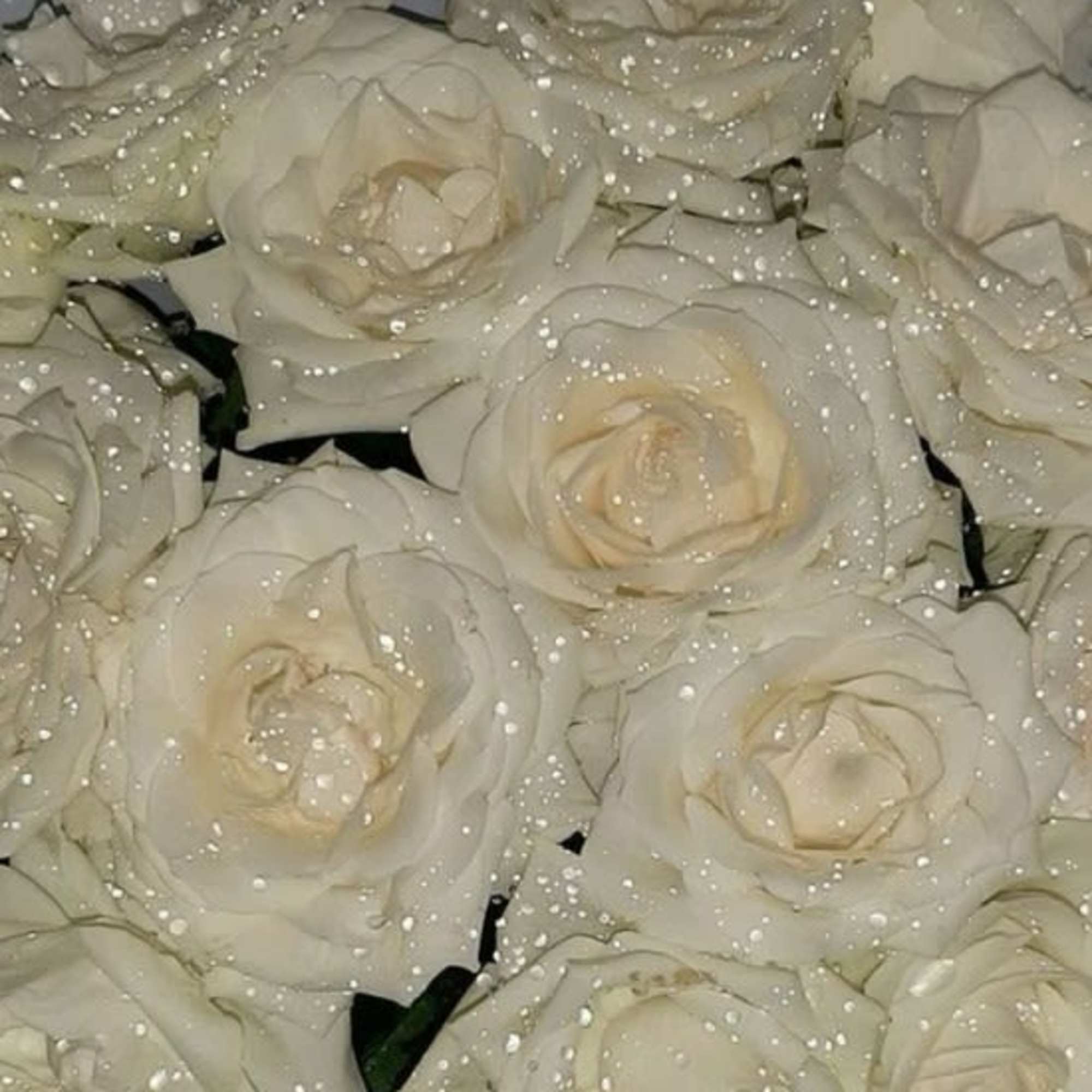 Roses with glitter added to them for that extra Sparkle. You can, photo 3 of 4