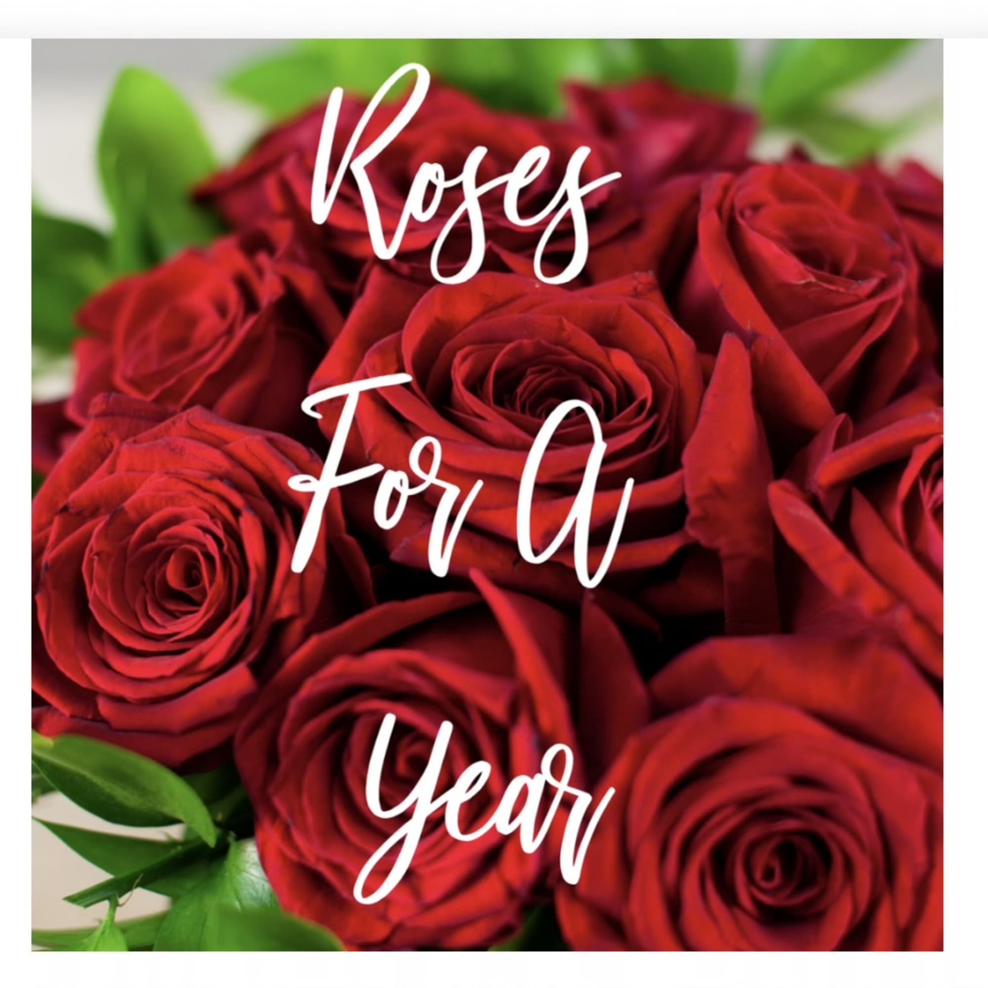 Close-up bouquet of red roses with green foliage
