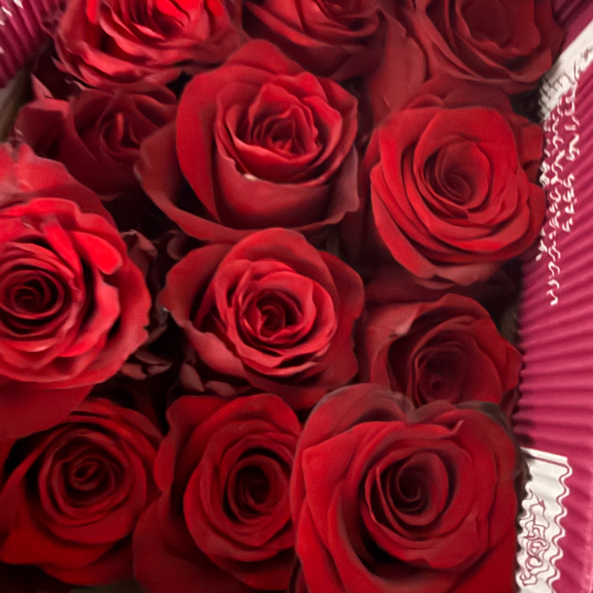 Close-up bouquet of red roses with pink wrapping
