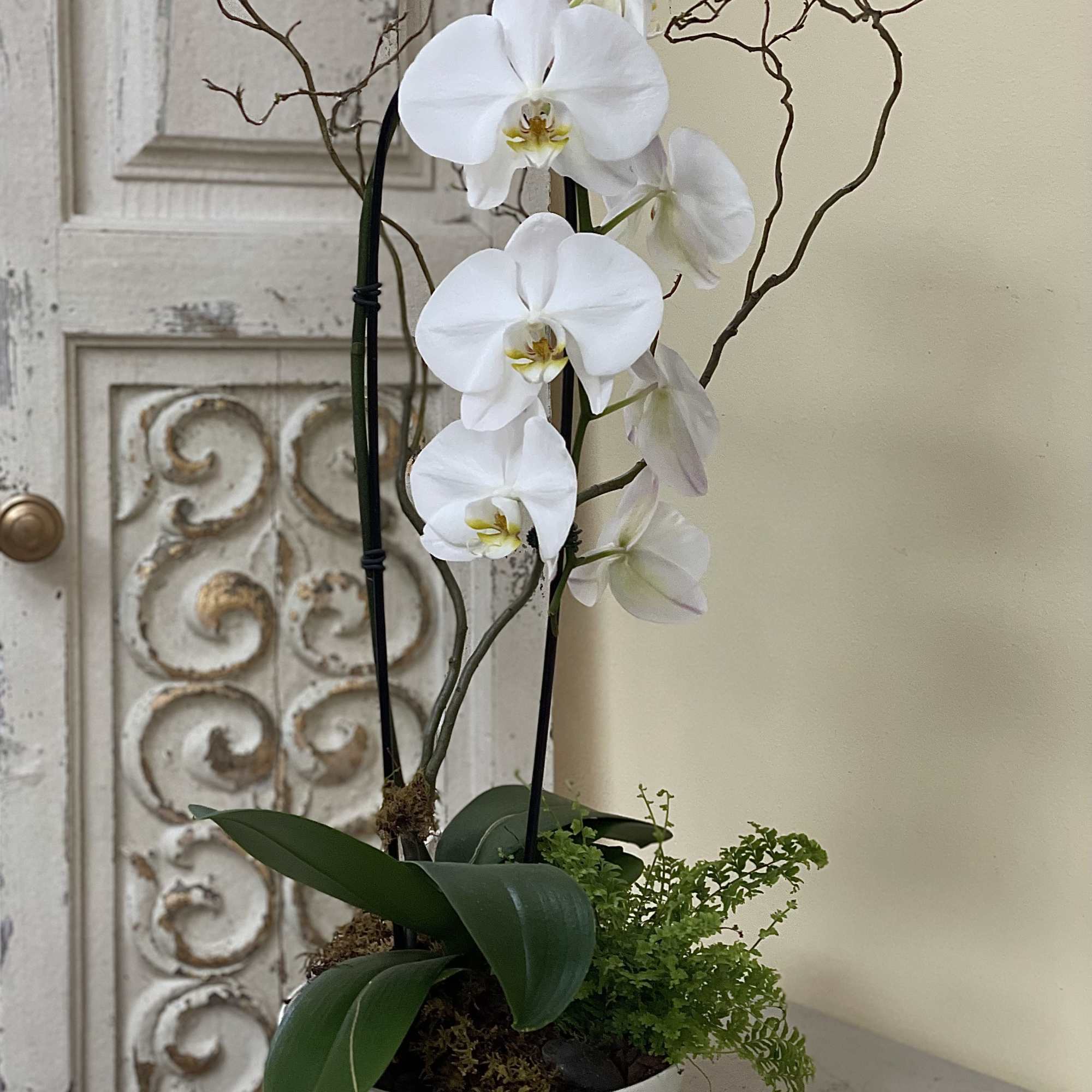 White orchid plant in a white bowl planter with decorative branches