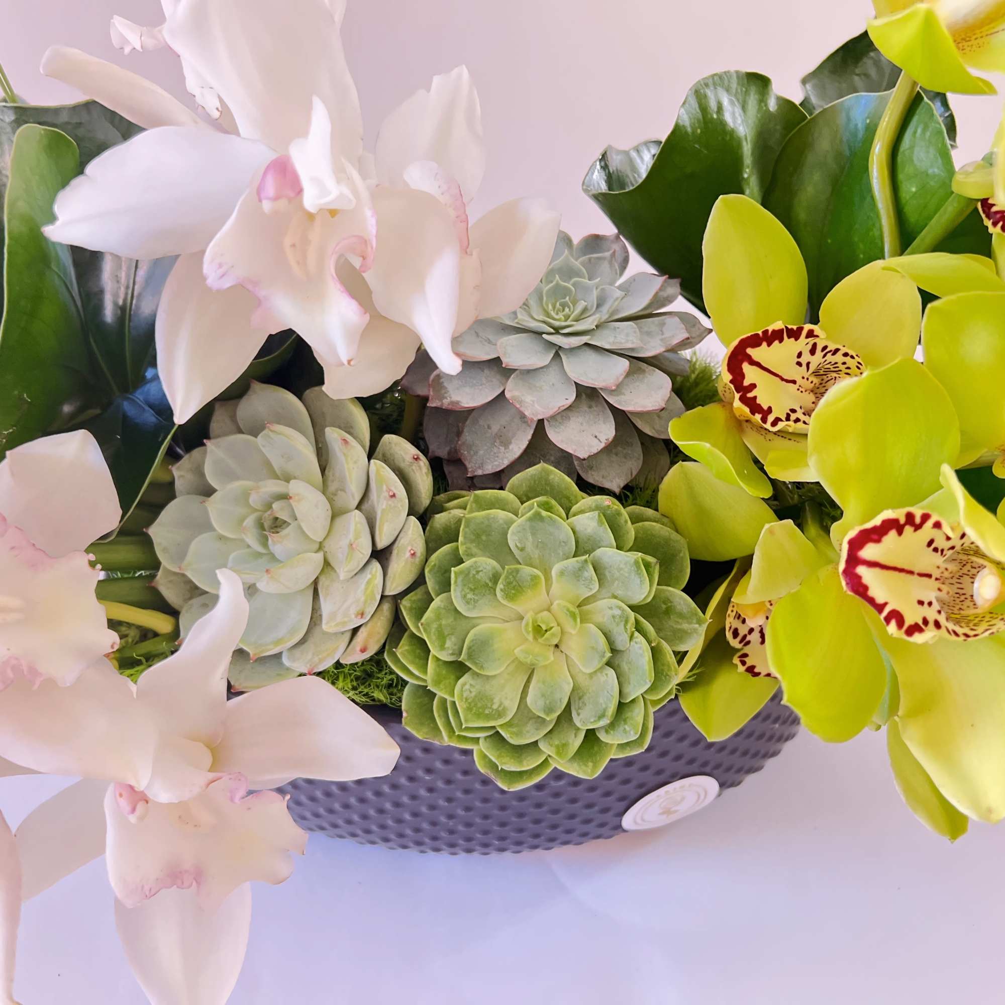 This lush green arrangement featuring calla lilies, orchids , succulents and Anthurium, photo 2 of 3