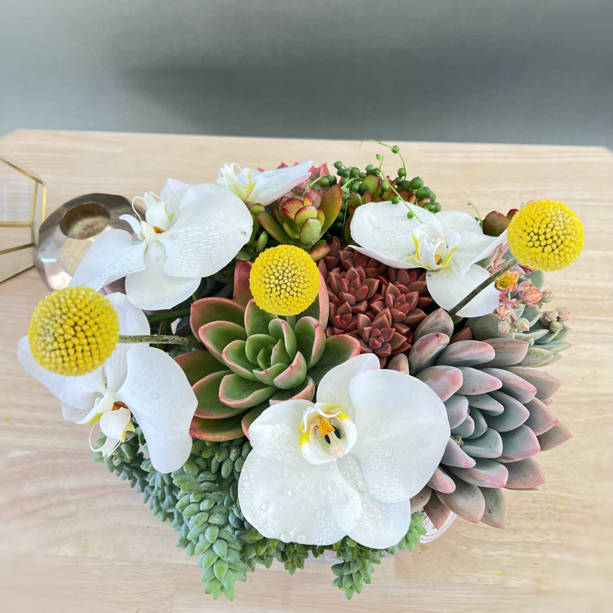 Succulent arrangement with white orchids and yellow pom-pom flowers