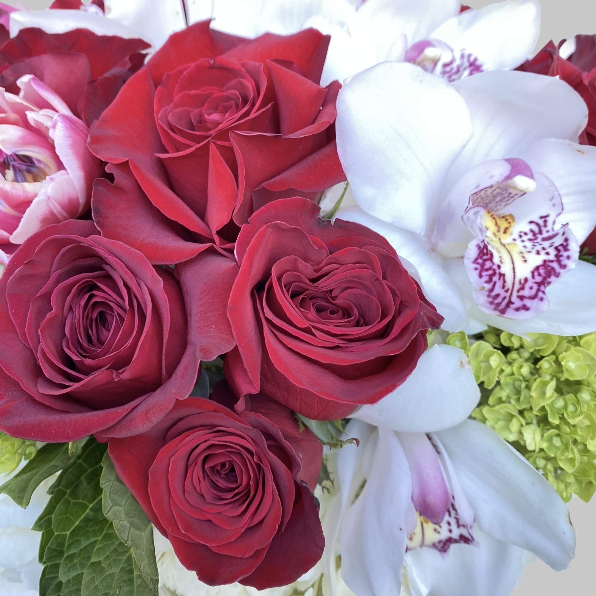 Bouquet of red roses and white orchids with green hydrangea