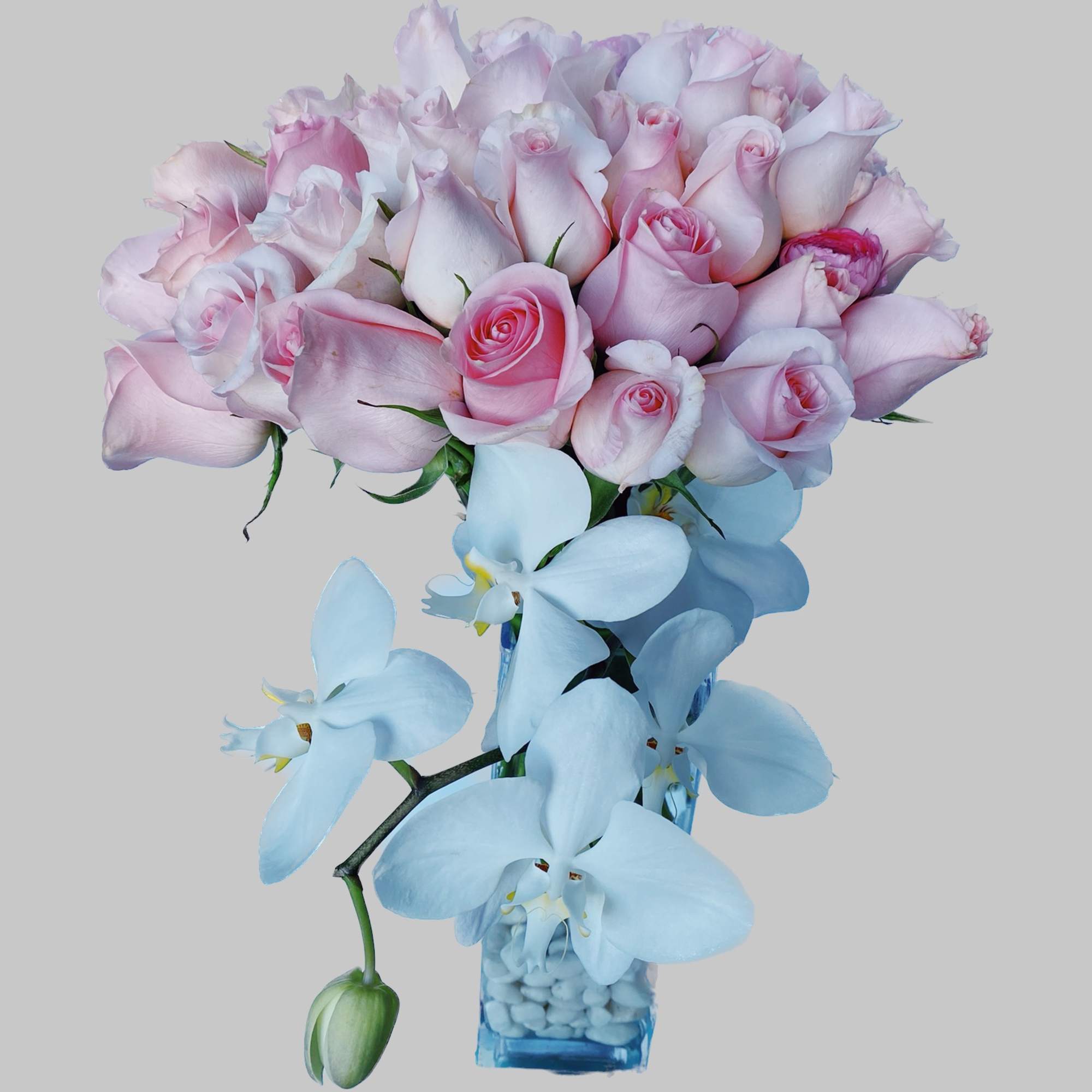Pink roses and pale blue orchids arranged in a clear vase
