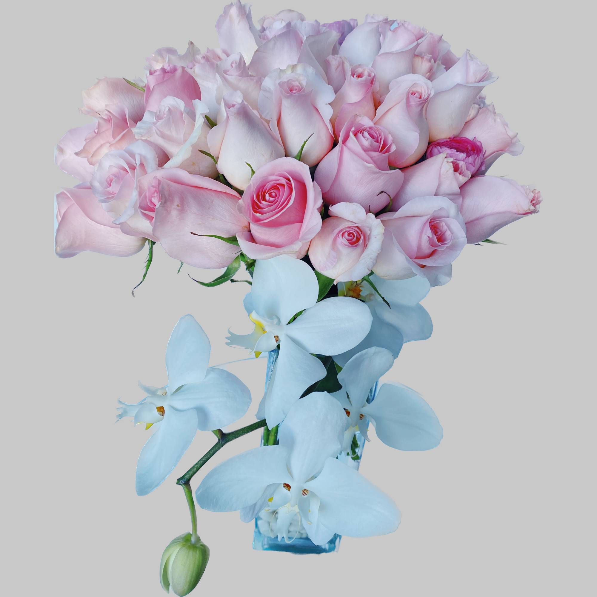 Pink roses and pale blue orchids arranged in a clear vase.