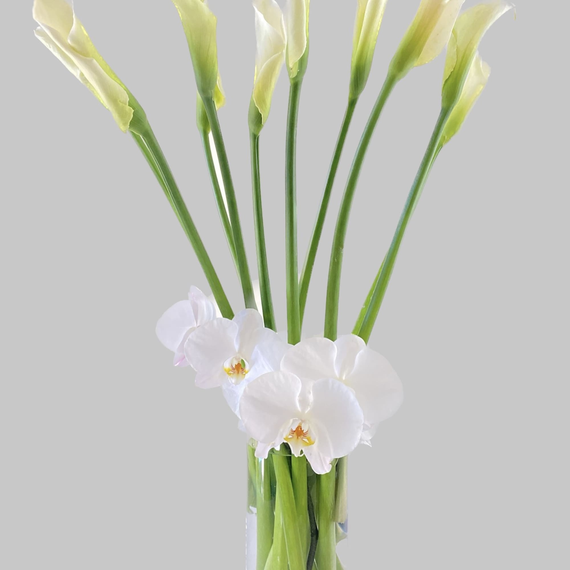 White orchids and tall green calla lilies in a clear glass vase, photo 2 of 2