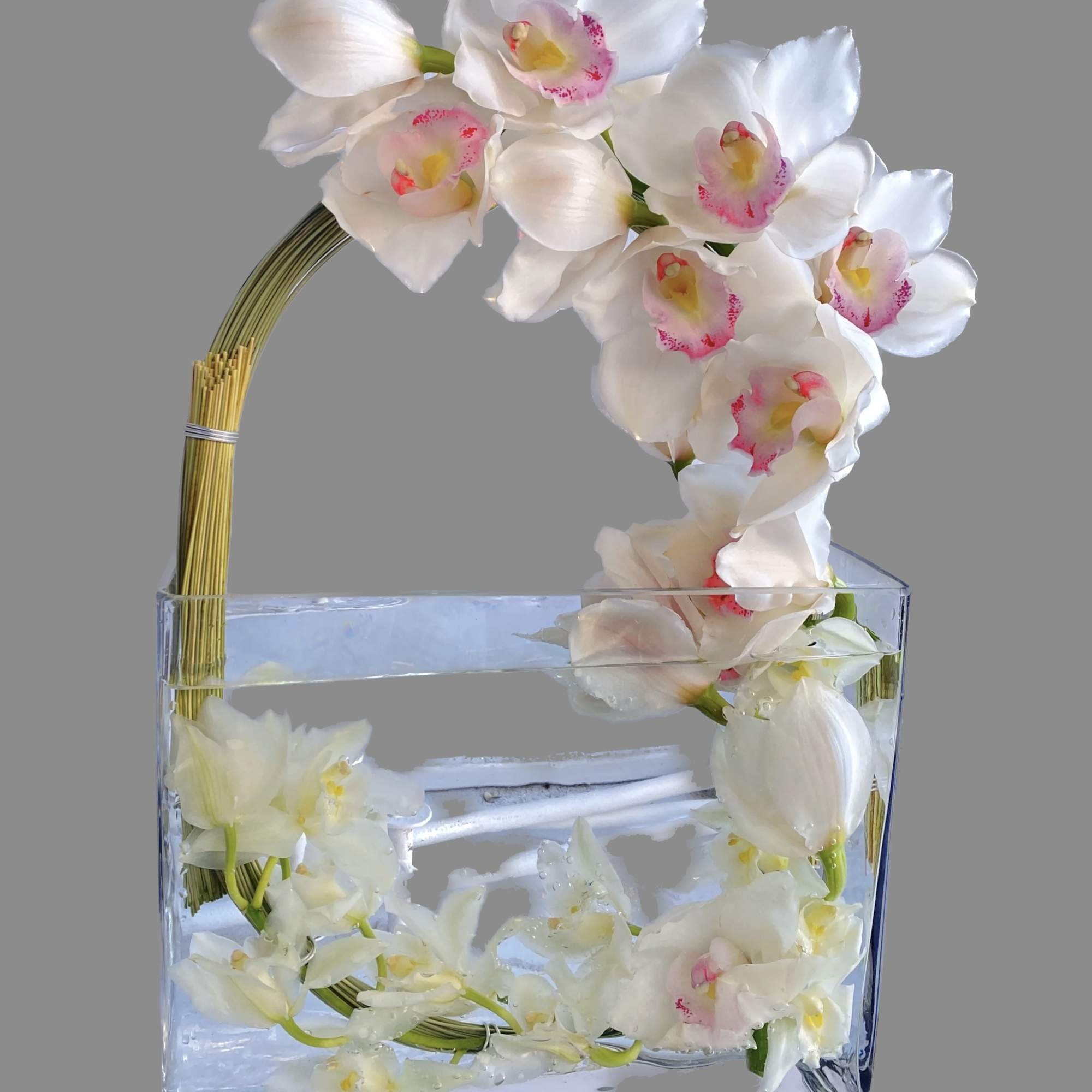 White orchids arranged in a clear rectangular vase with water