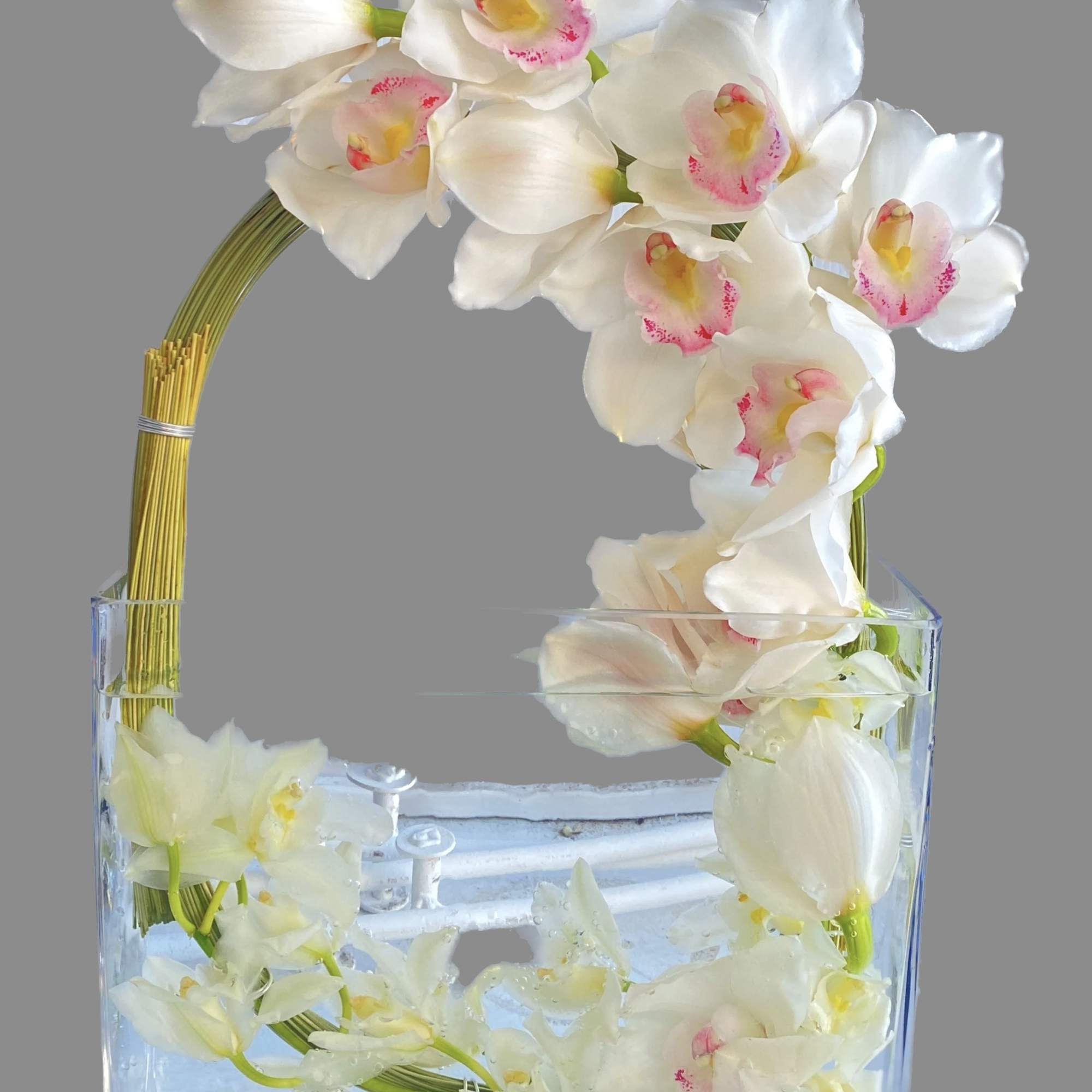 White orchids arranged in a clear glass vase with a curved gold support