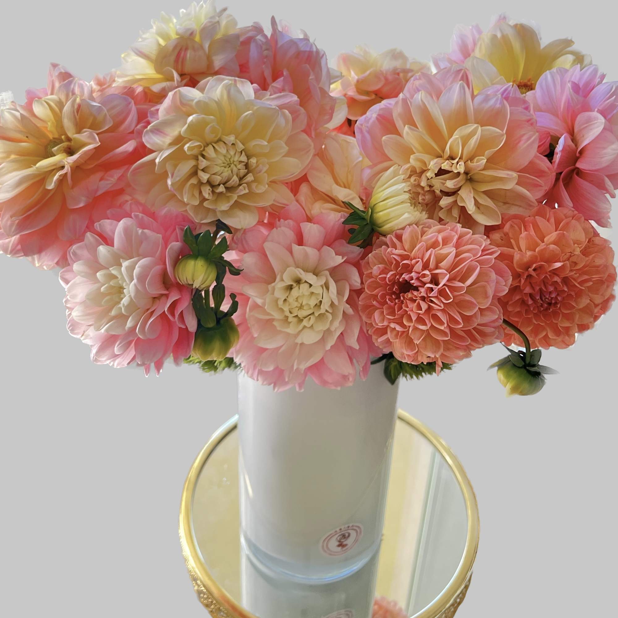 Pink and peach dahlias arranged in a white vase.