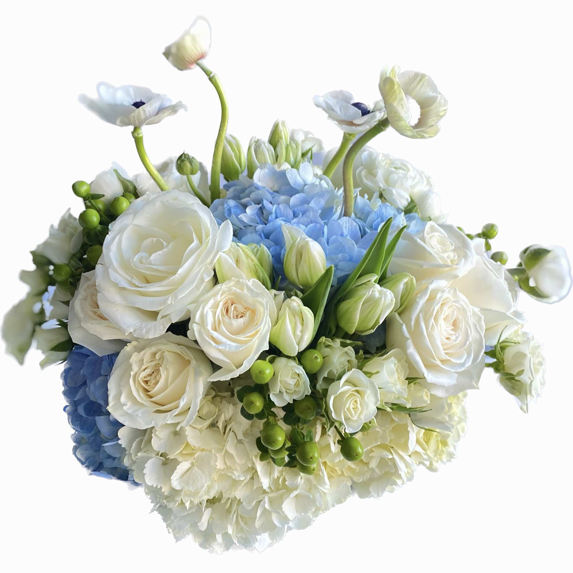 White roses and blue hydrangeas in a rounded bouquet